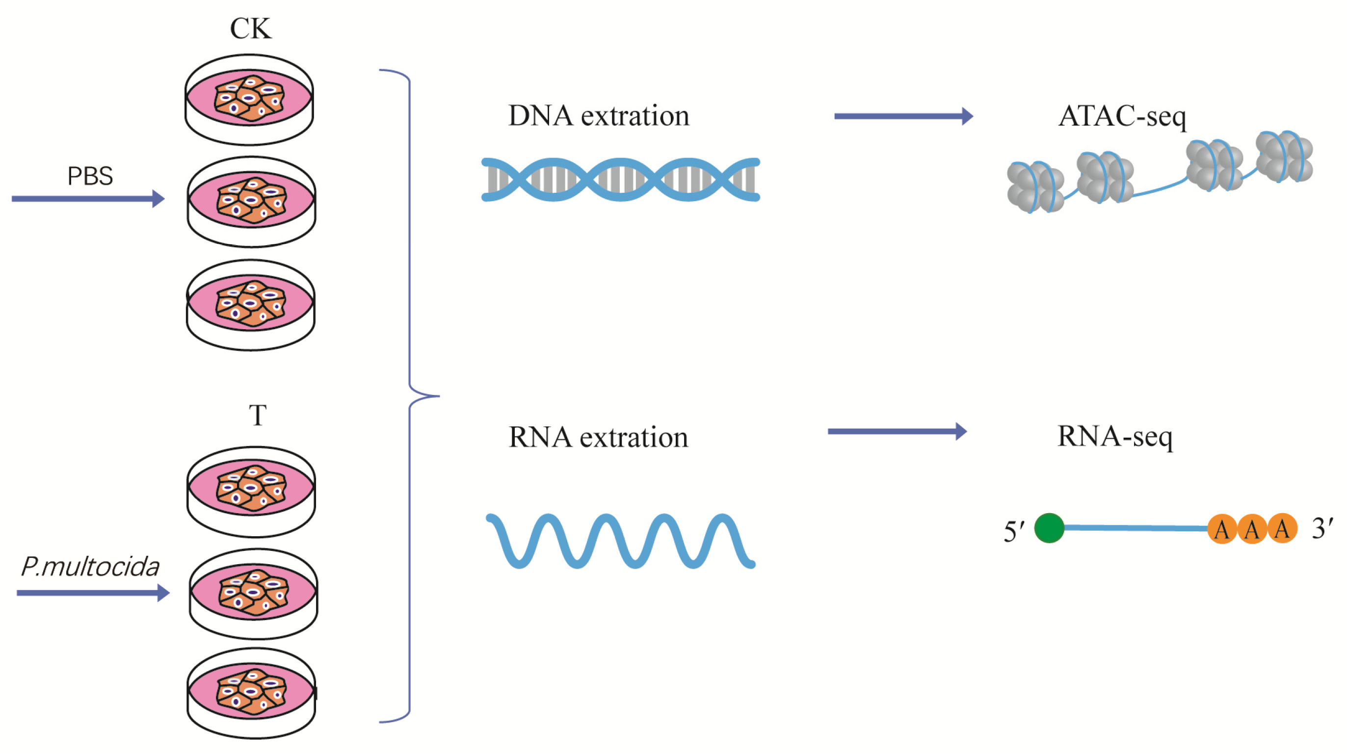 Ijms 24 01312 g001 Ijms 24 01312 g001