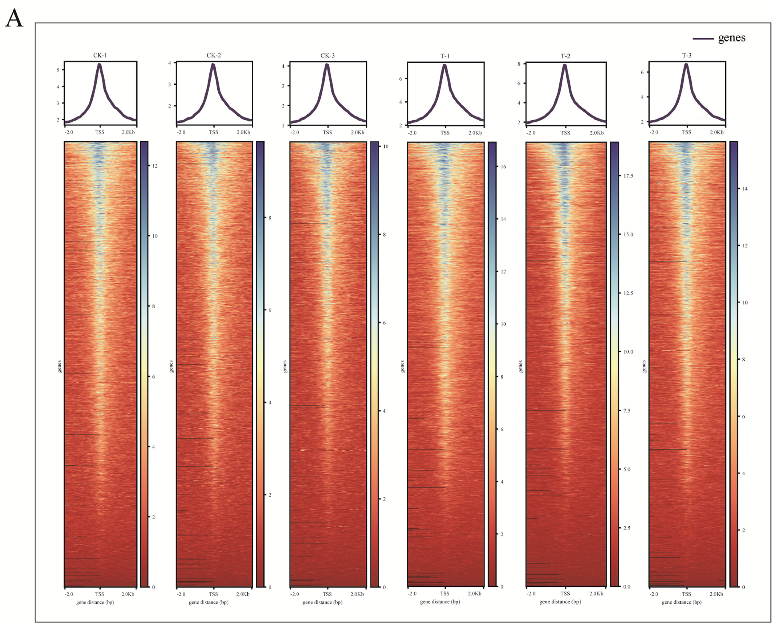 Ijms 24 01312 g003a Ijms 24 01312 g003a