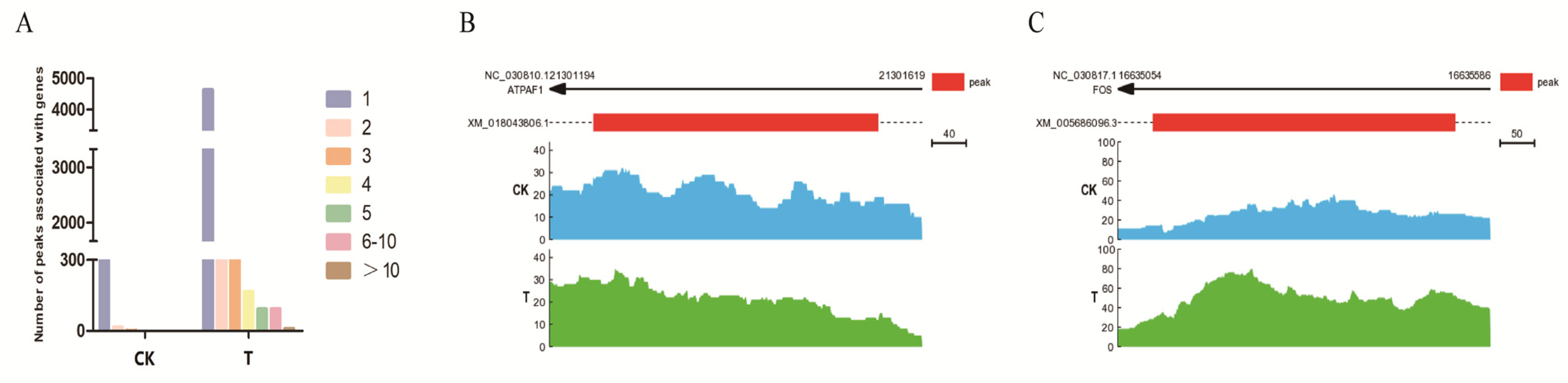 Ijms 24 01312 g005 Ijms 24 01312 g005