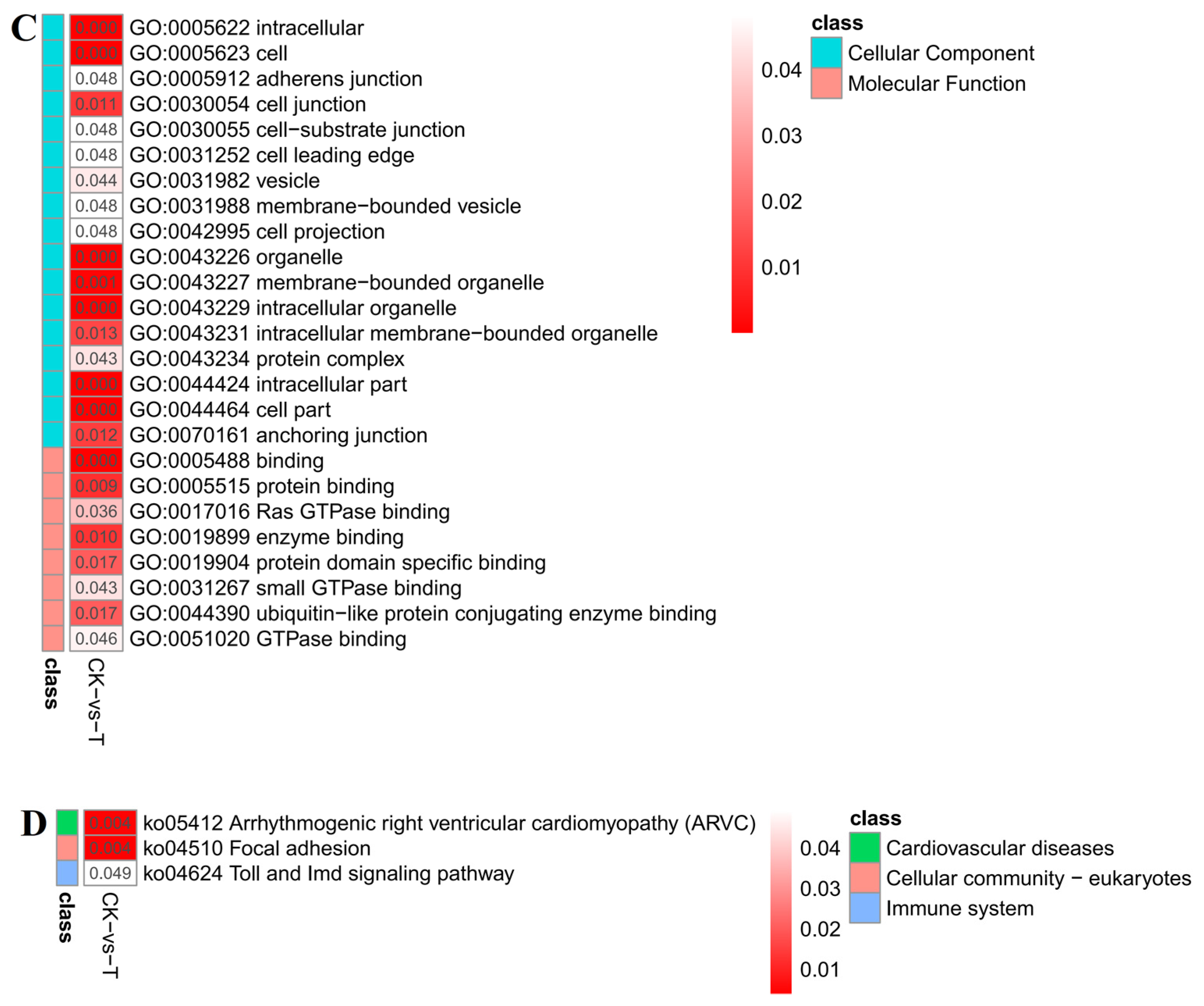 Ijms 24 01312 g006b Ijms 24 01312 g006b