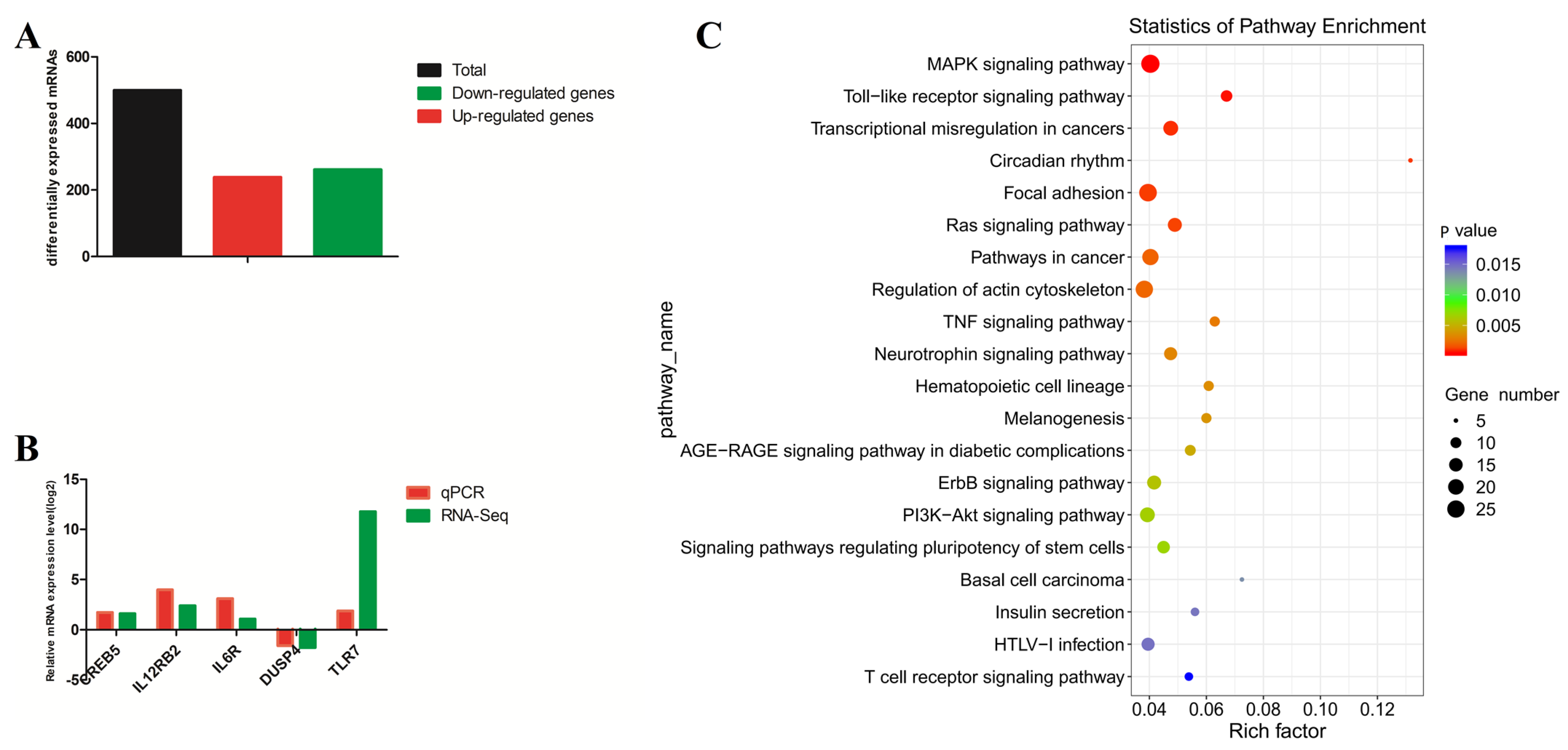 Ijms 24 01312 g008 Ijms 24 01312 g008