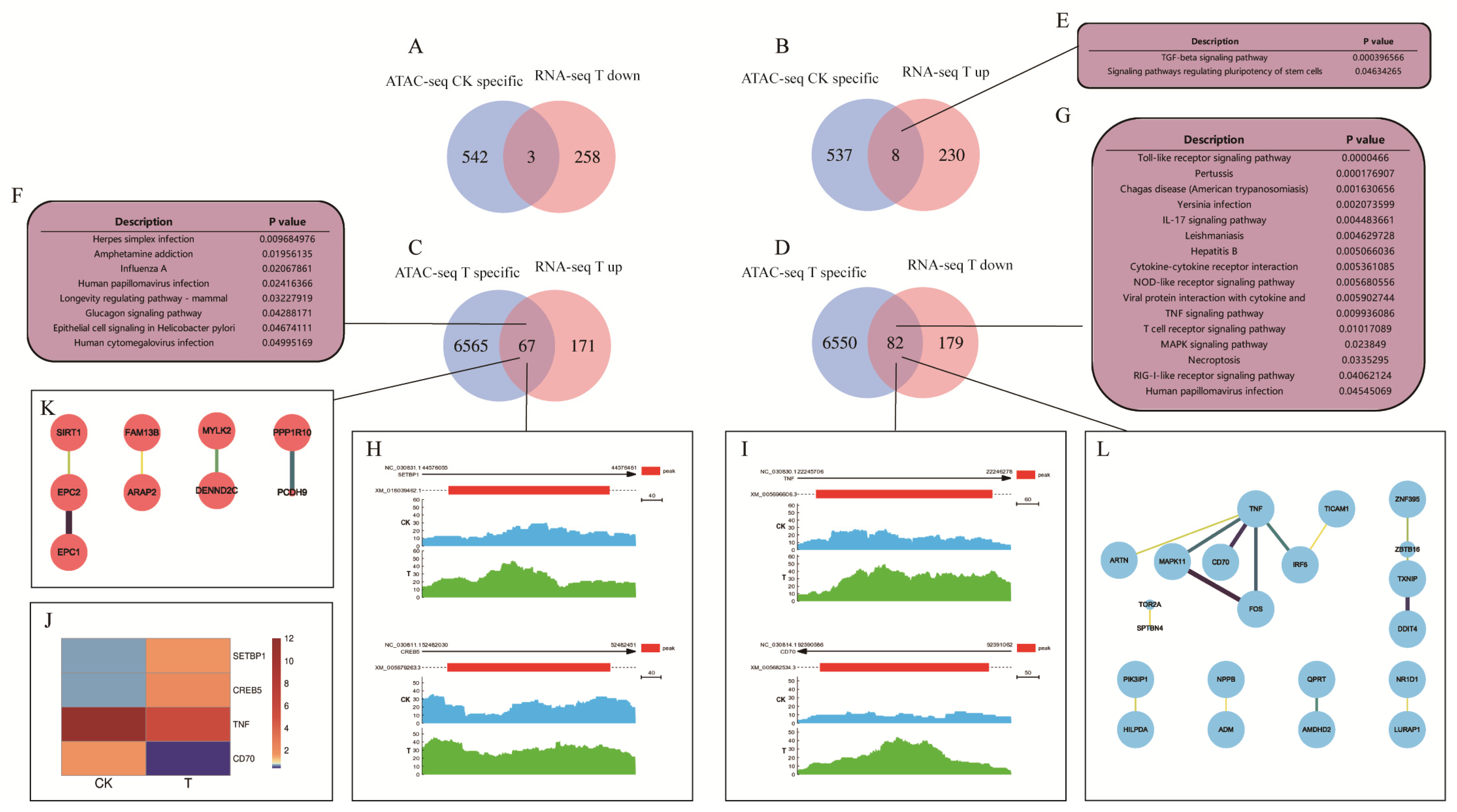 Ijms 24 01312 g009 Ijms 24 01312 g009