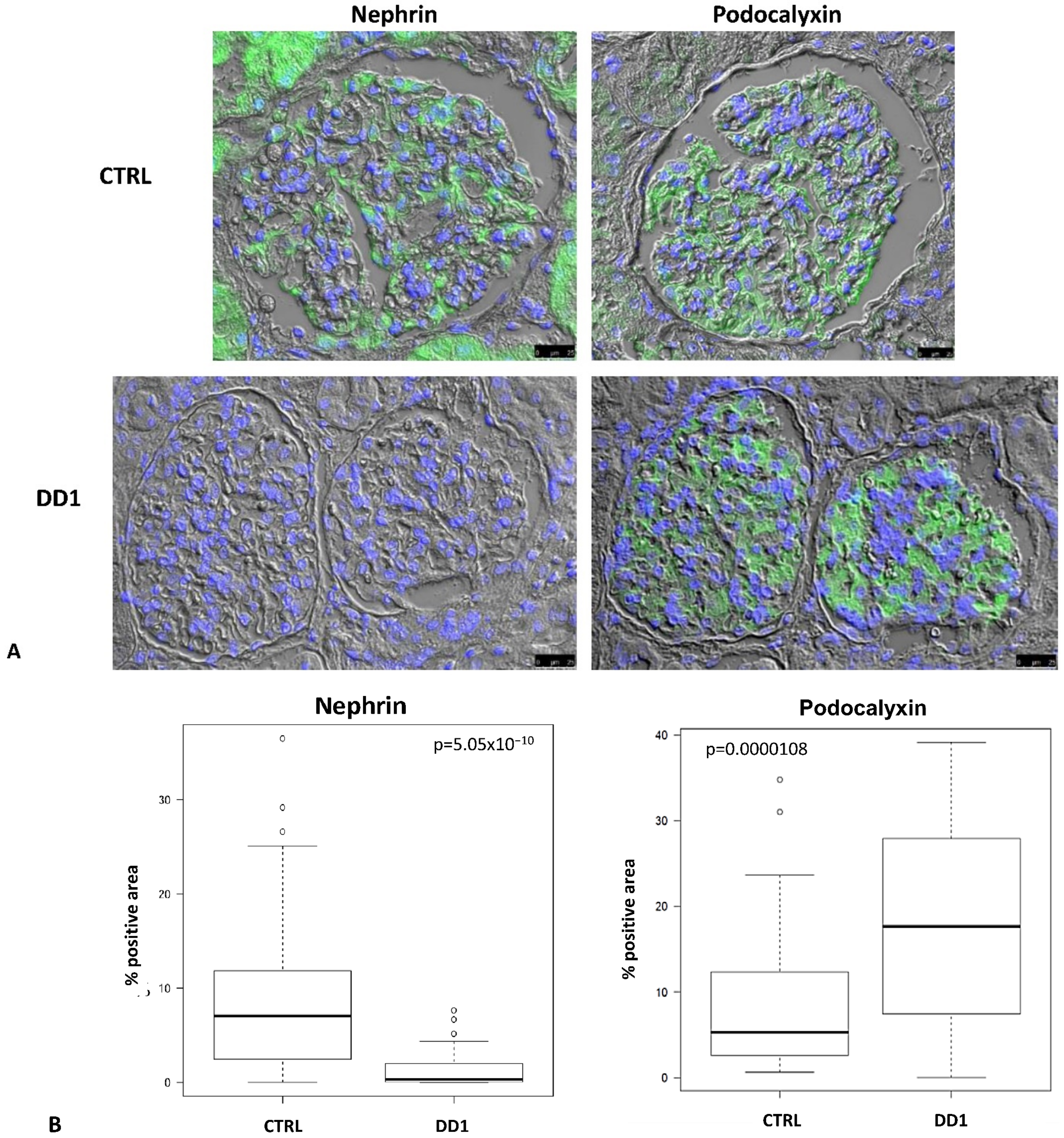 Ijms 24 01313 g001 Ijms 24 01313 g001