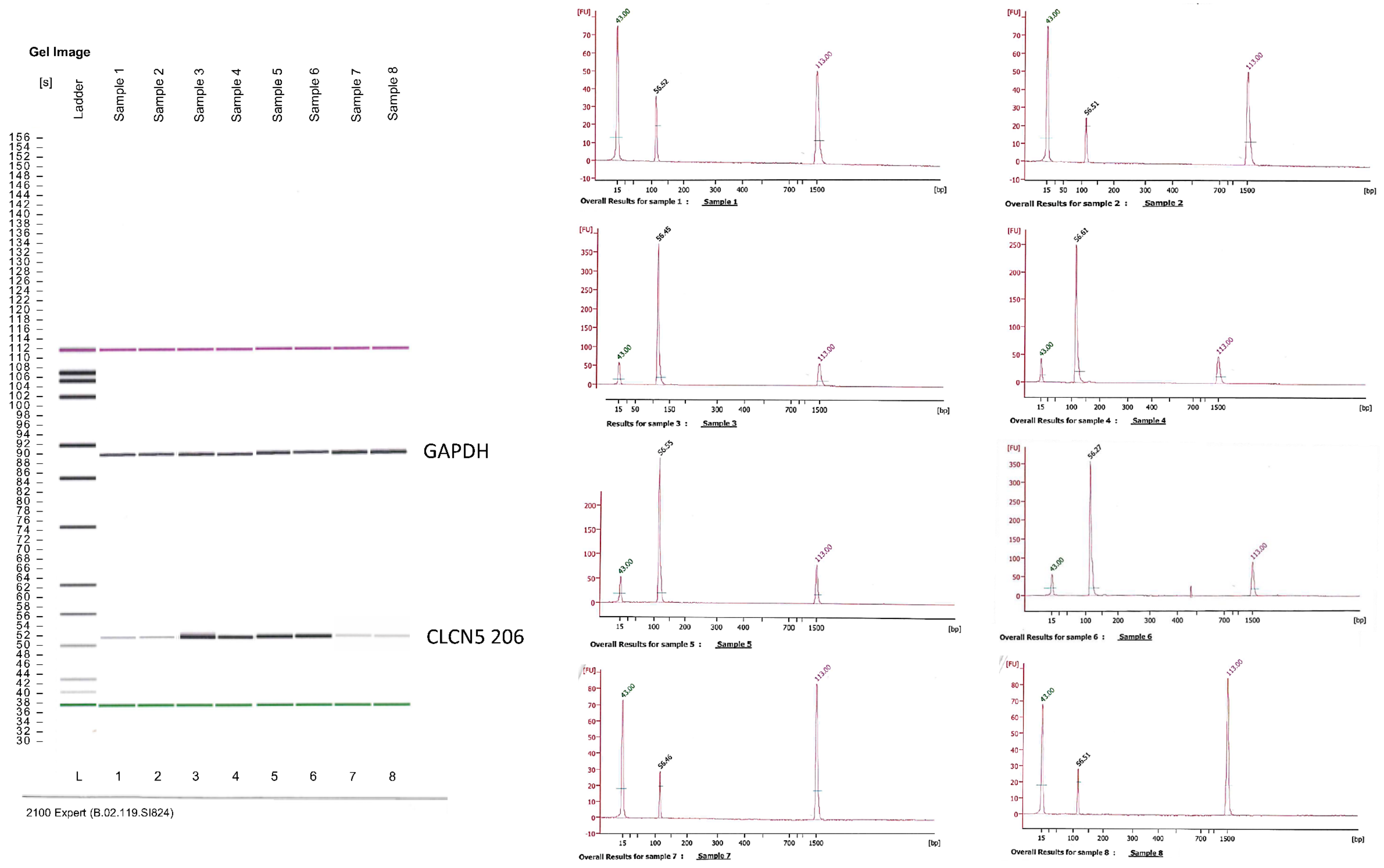 Ijms 24 01313 g009 Ijms 24 01313 g009
