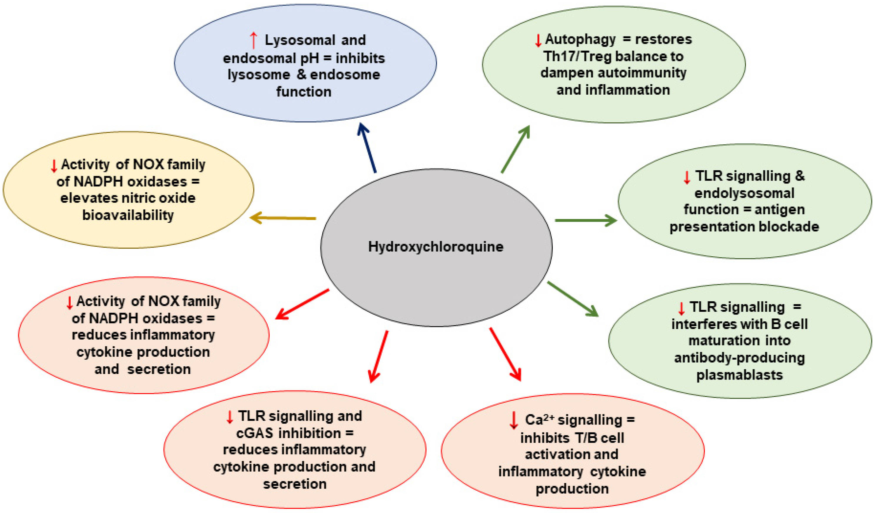 Hcq/terms Of Use/