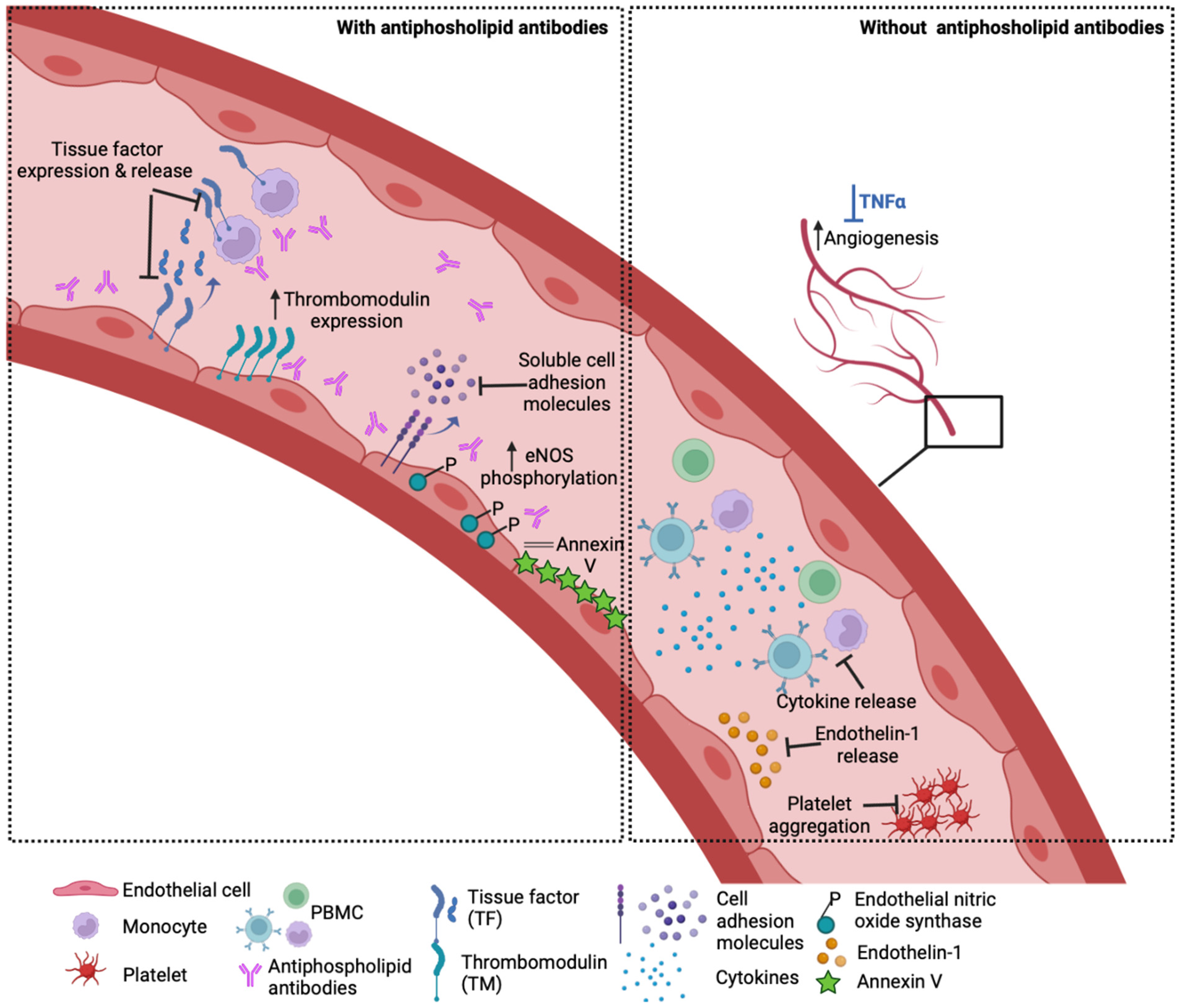 Ijms 24 01331 g002 Ijms 24 01331 g002