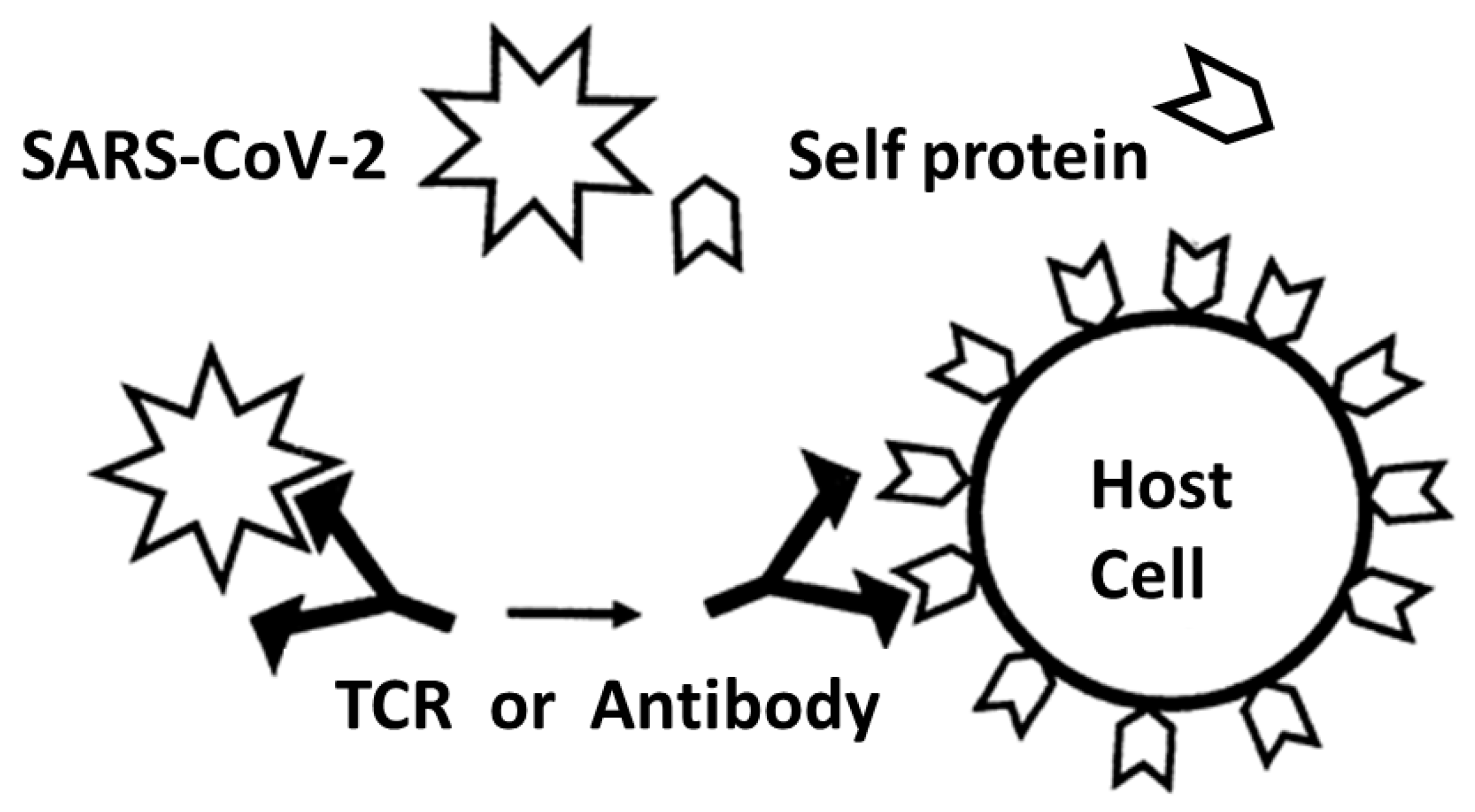 Ijms 24 01335 g010 Ijms 24 01335 g010