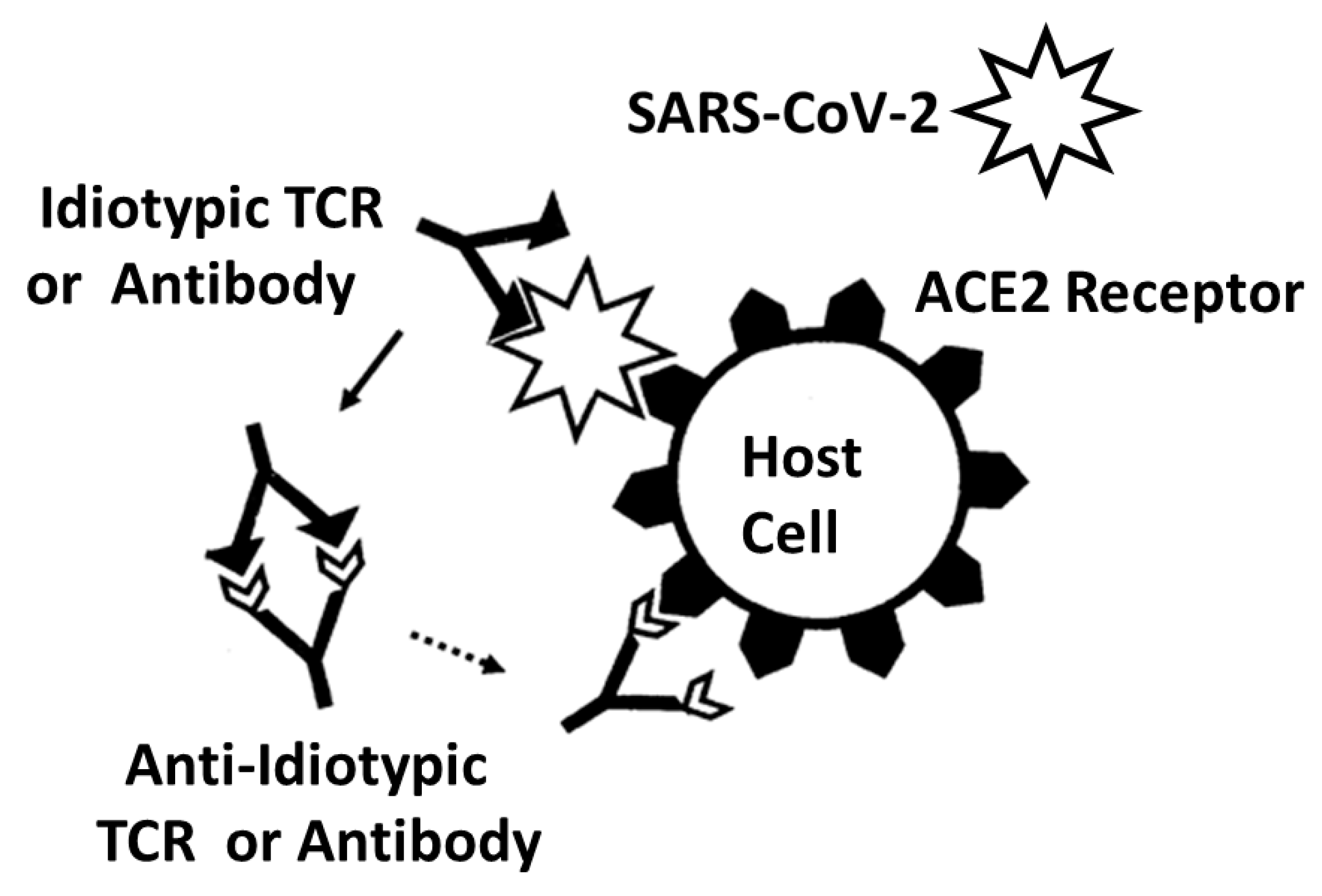Ijms 24 01335 g011 Ijms 24 01335 g011