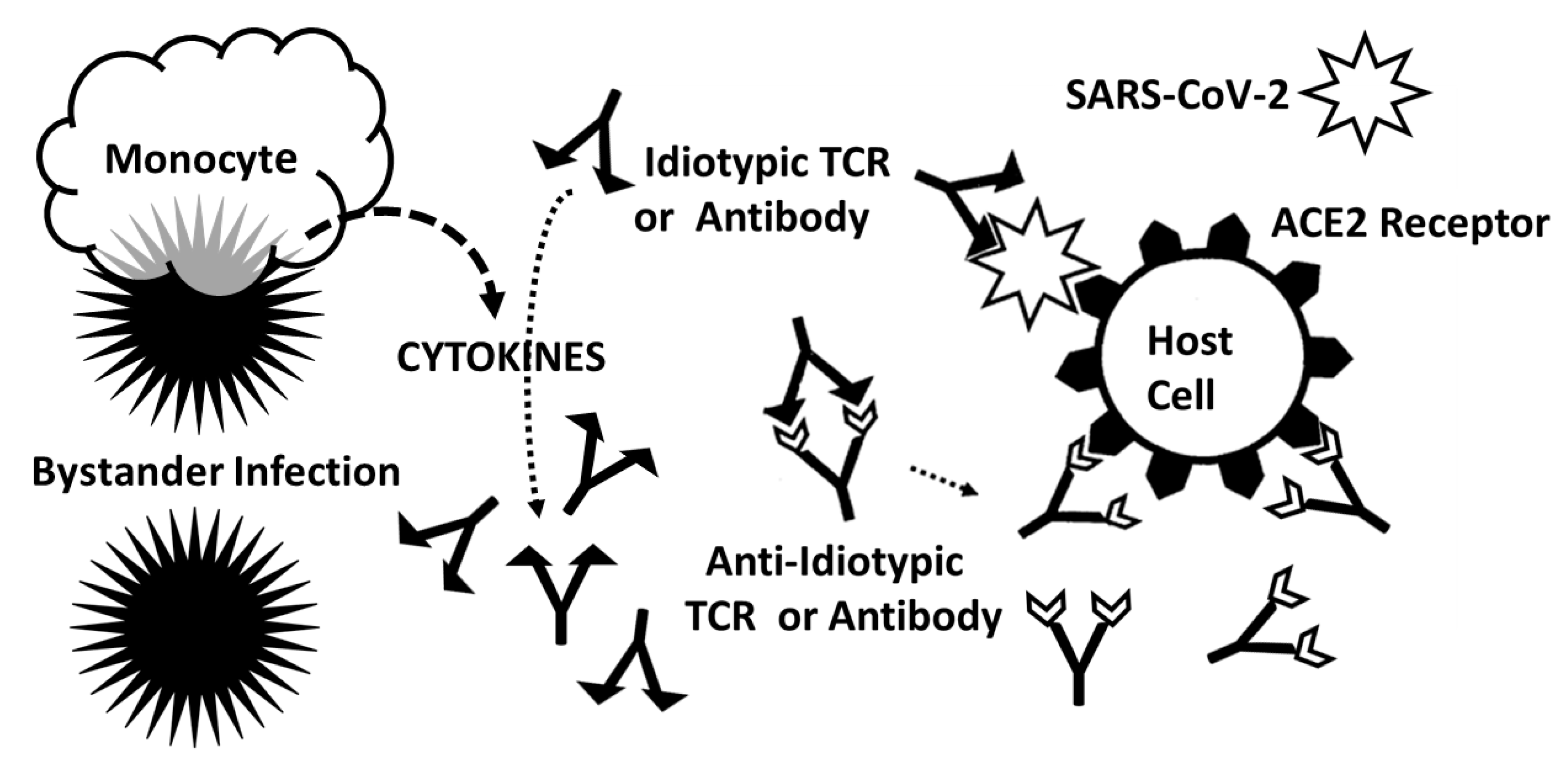 Ijms 24 01335 g012 Ijms 24 01335 g012