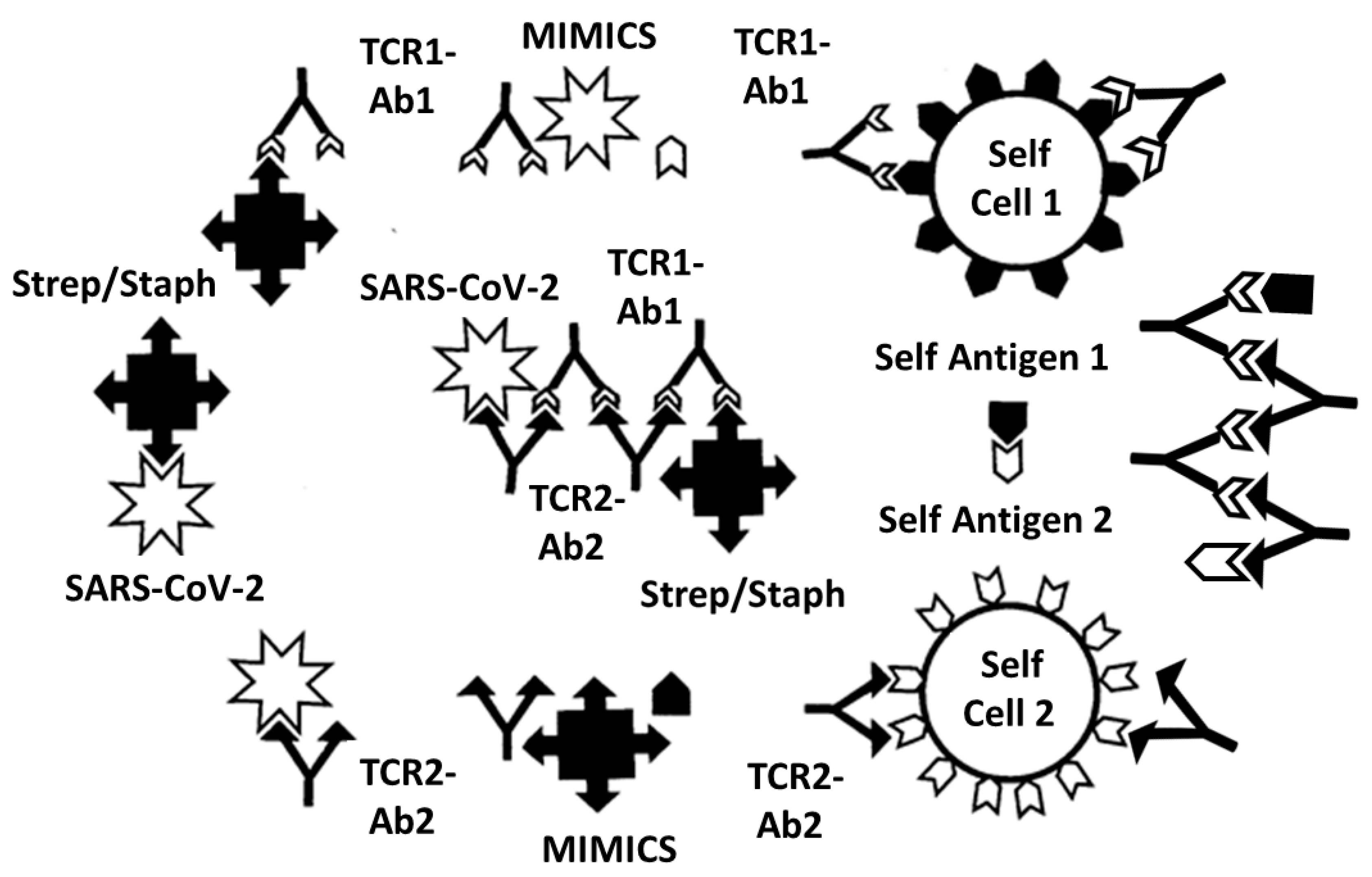 Ijms 24 01335 g013 Ijms 24 01335 g013