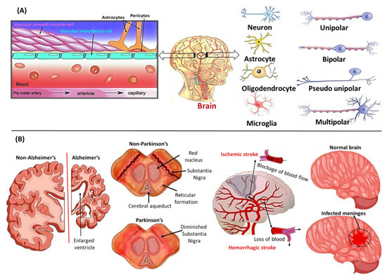 Mechanistic Insights, Treatment Paradigms, and Clinical Progress in ...