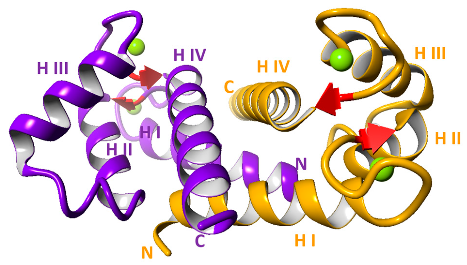 IJMS | Free Full-Text | S100A6 Protein—Expression and