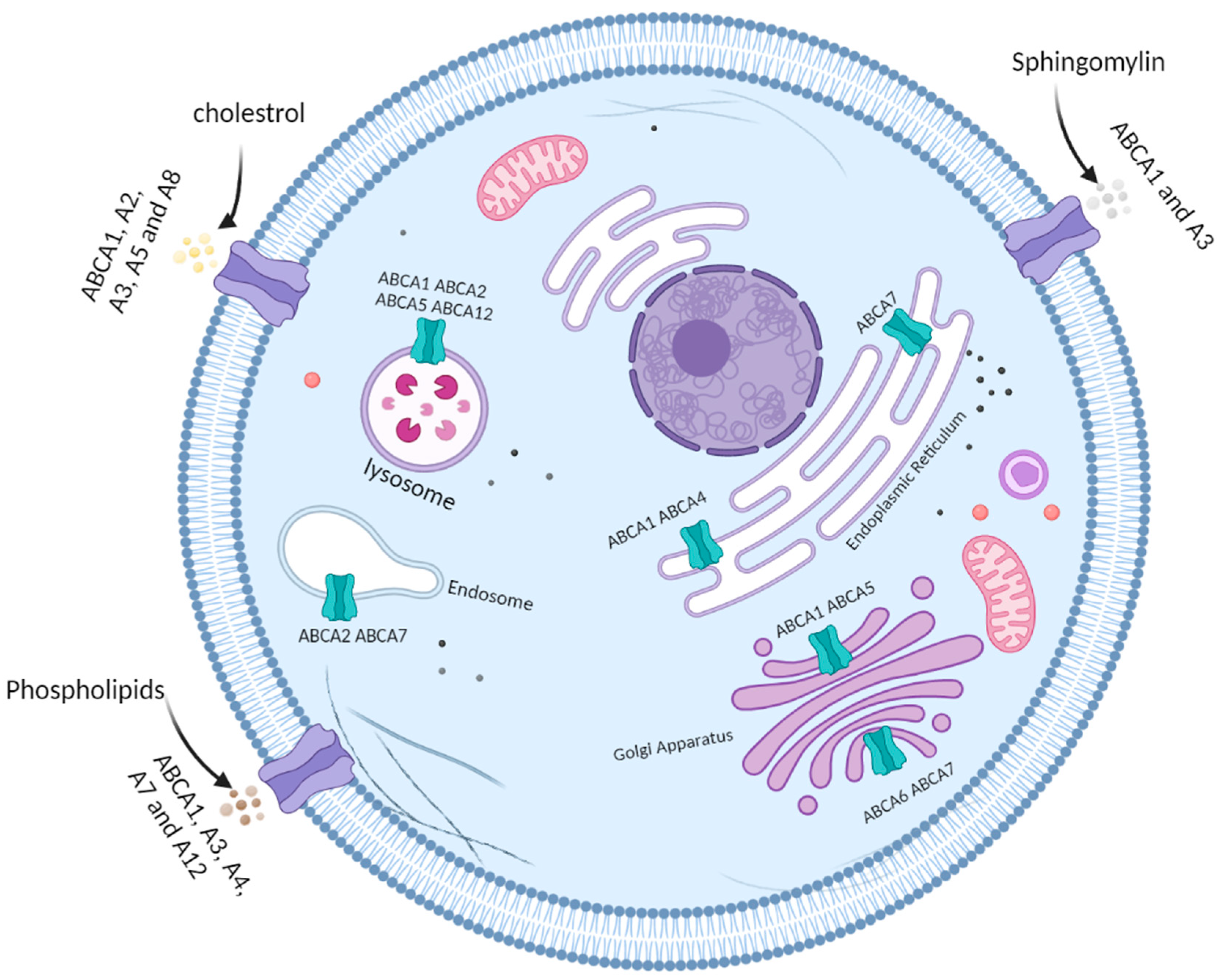 Ijms 24 01344 g001 Ijms 24 01344 g001