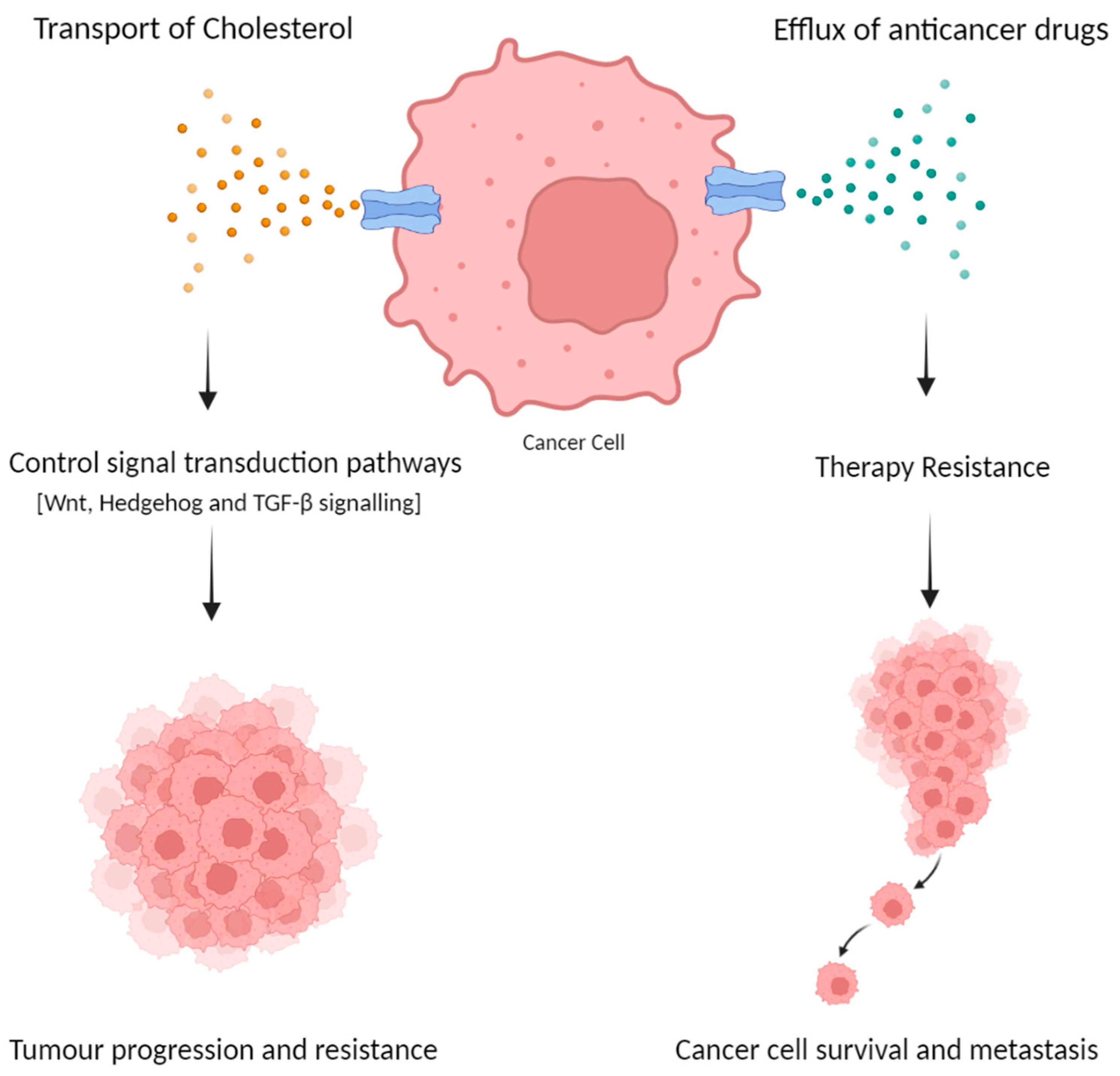 Ijms 24 01344 g002 Ijms 24 01344 g002