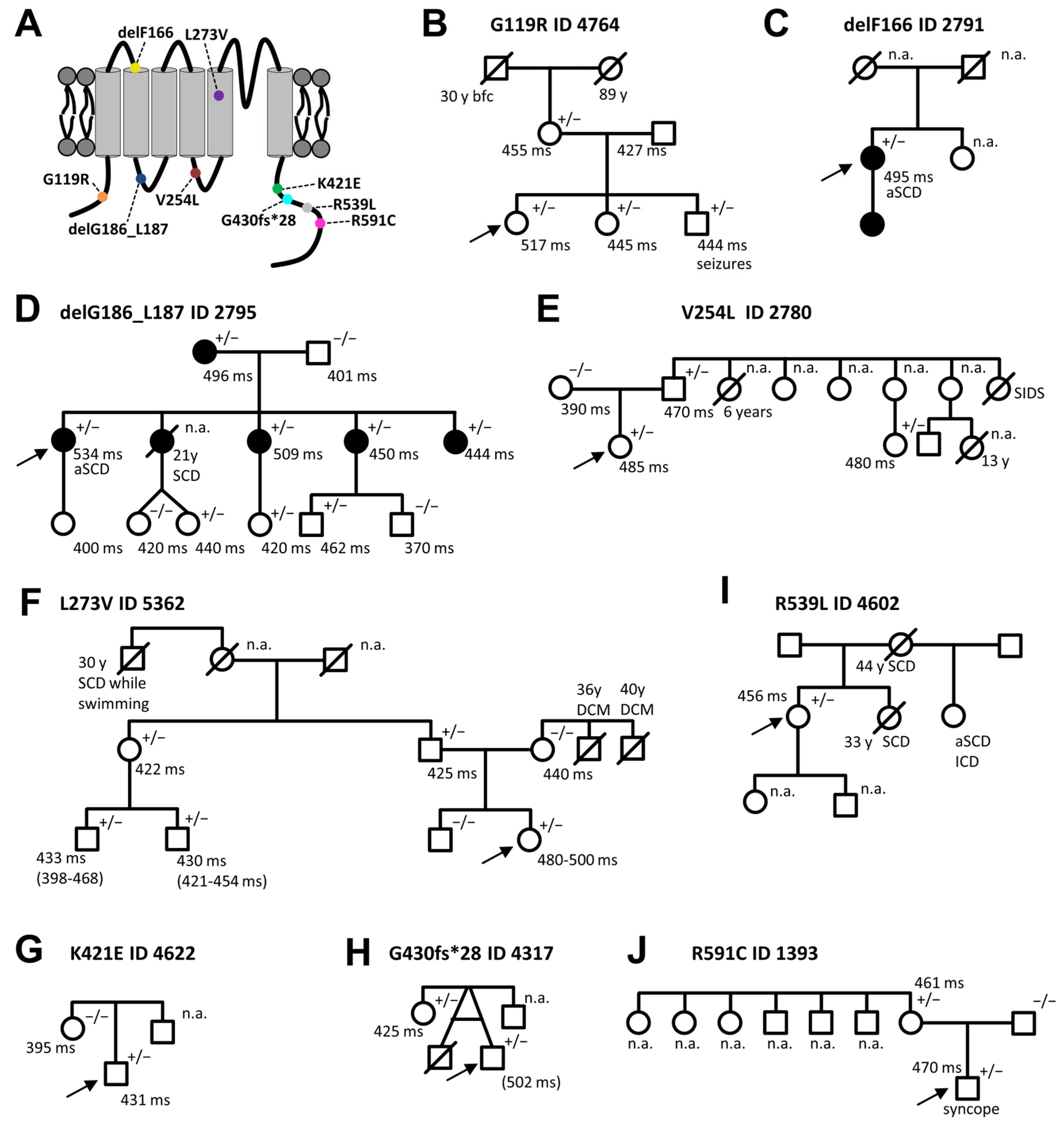 Ijms 24 01350 g001 Ijms 24 01350 g001