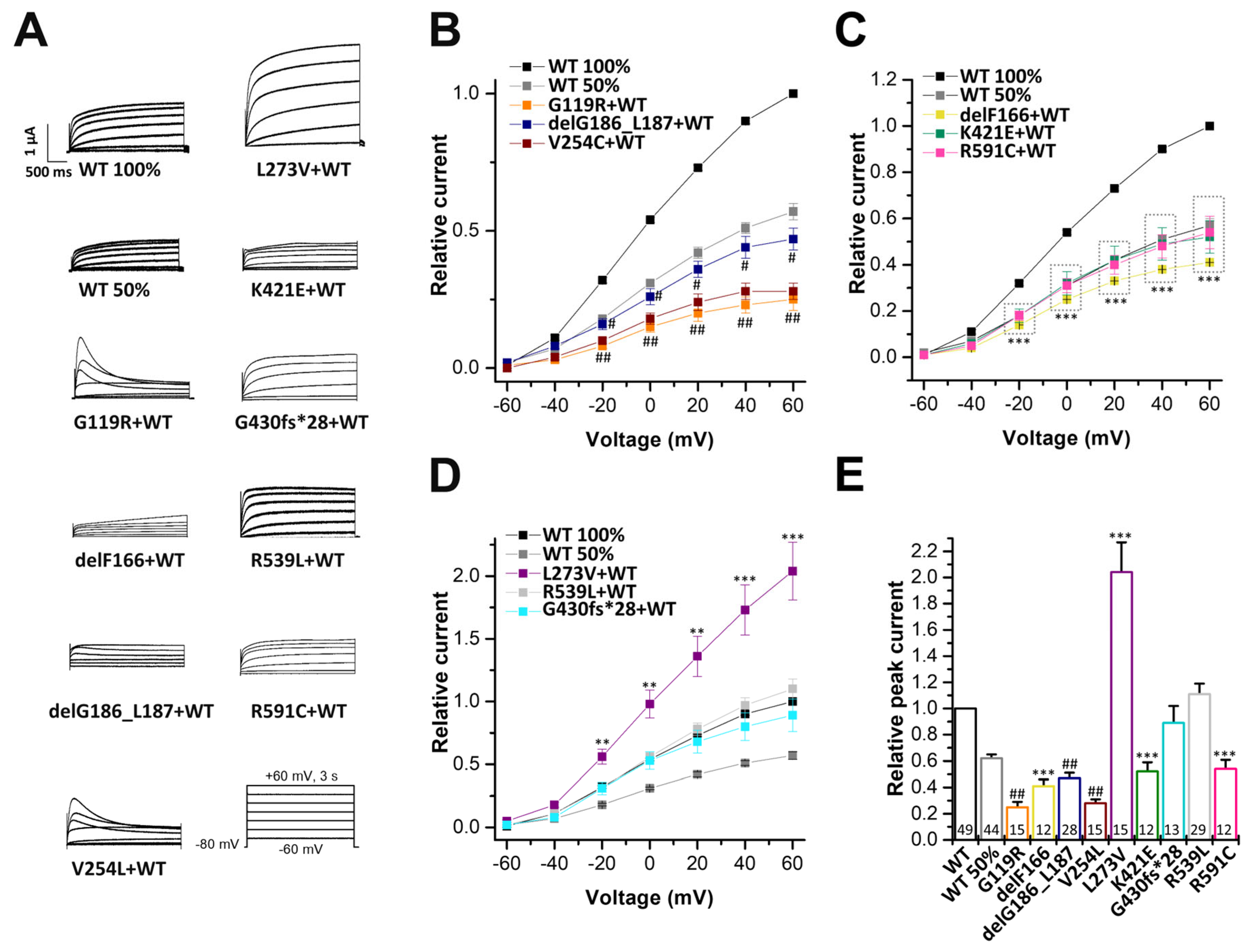 Ijms 24 01350 g004 Ijms 24 01350 g004