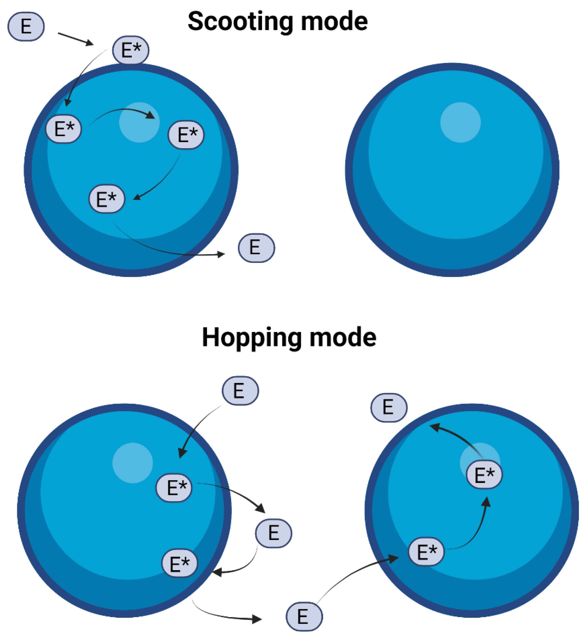 Ijms 24 01353 g010 Ijms 24 01353 g010