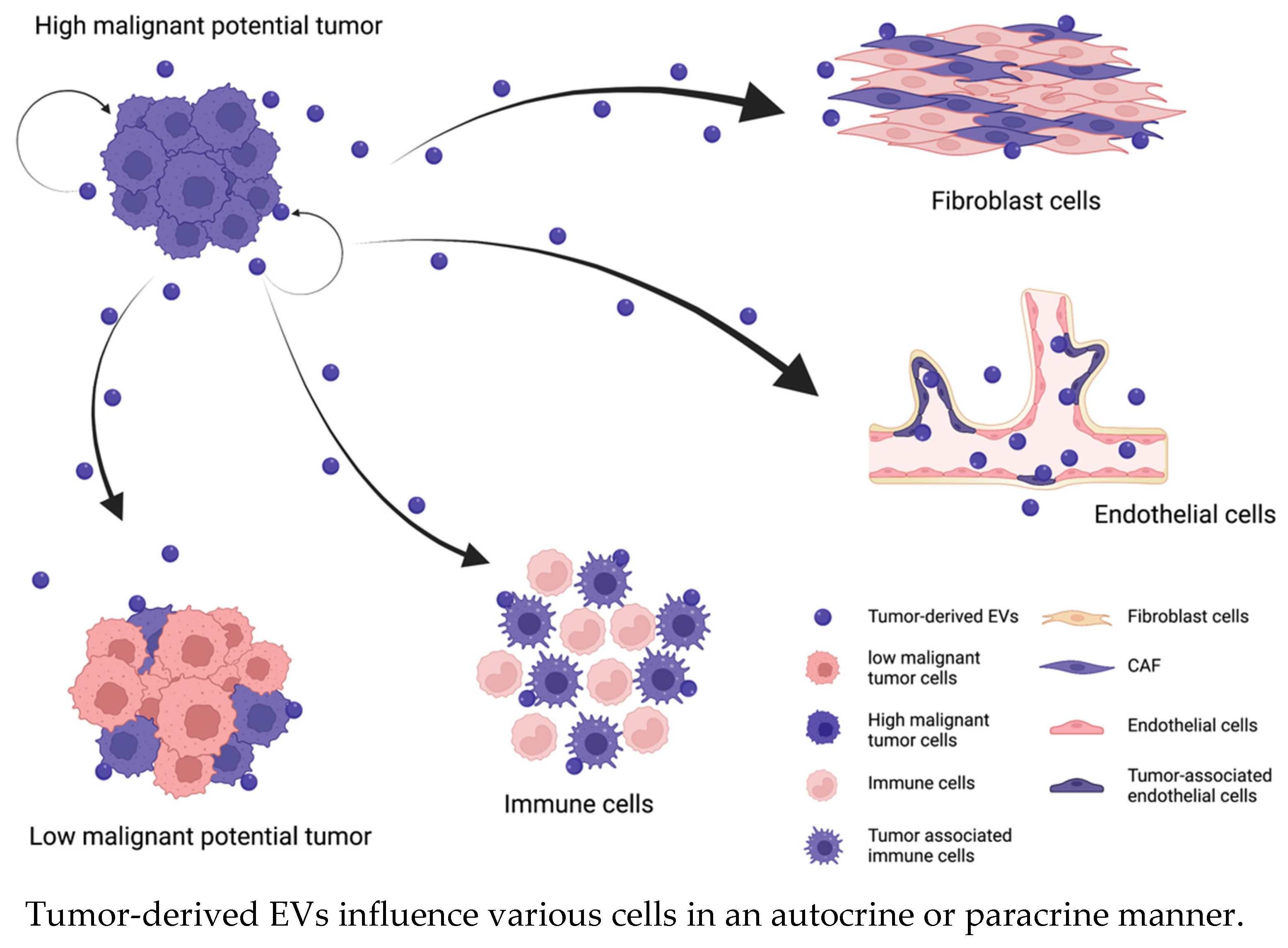 Ijms 24 01362 g001 Ijms 24 01362 g001