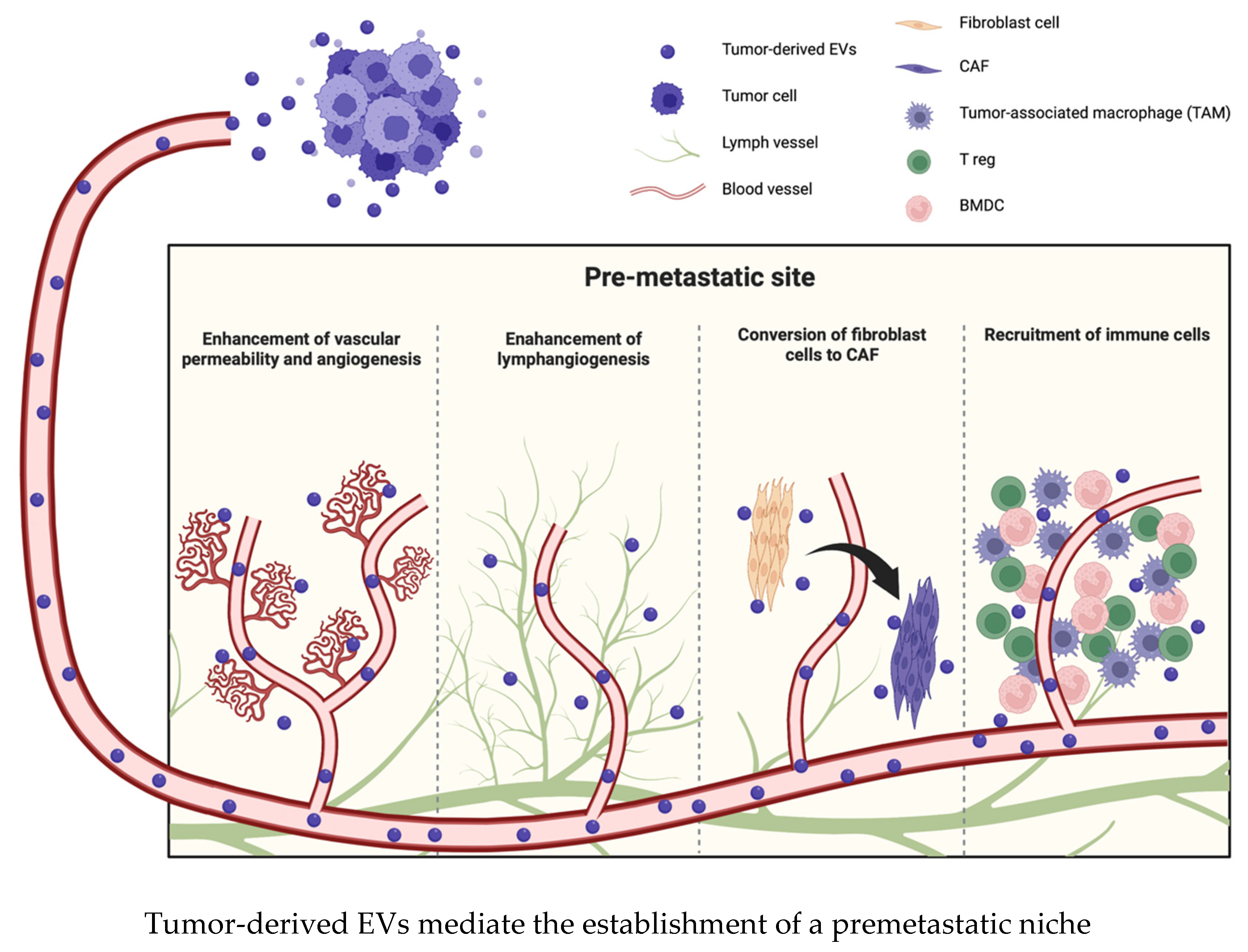 Ijms 24 01362 g002 Ijms 24 01362 g002