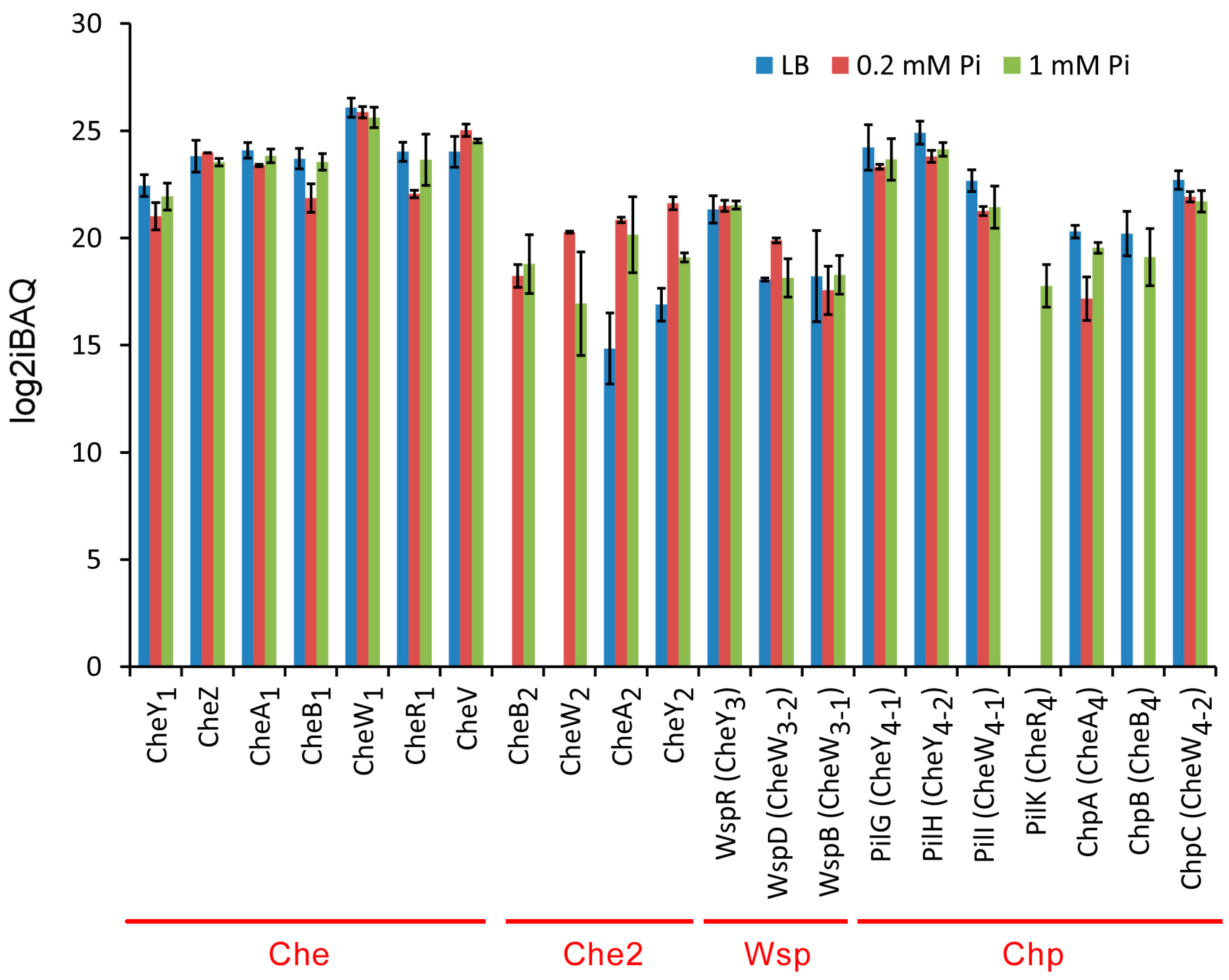 Ijms 24 01363 g006 Ijms 24 01363 g006