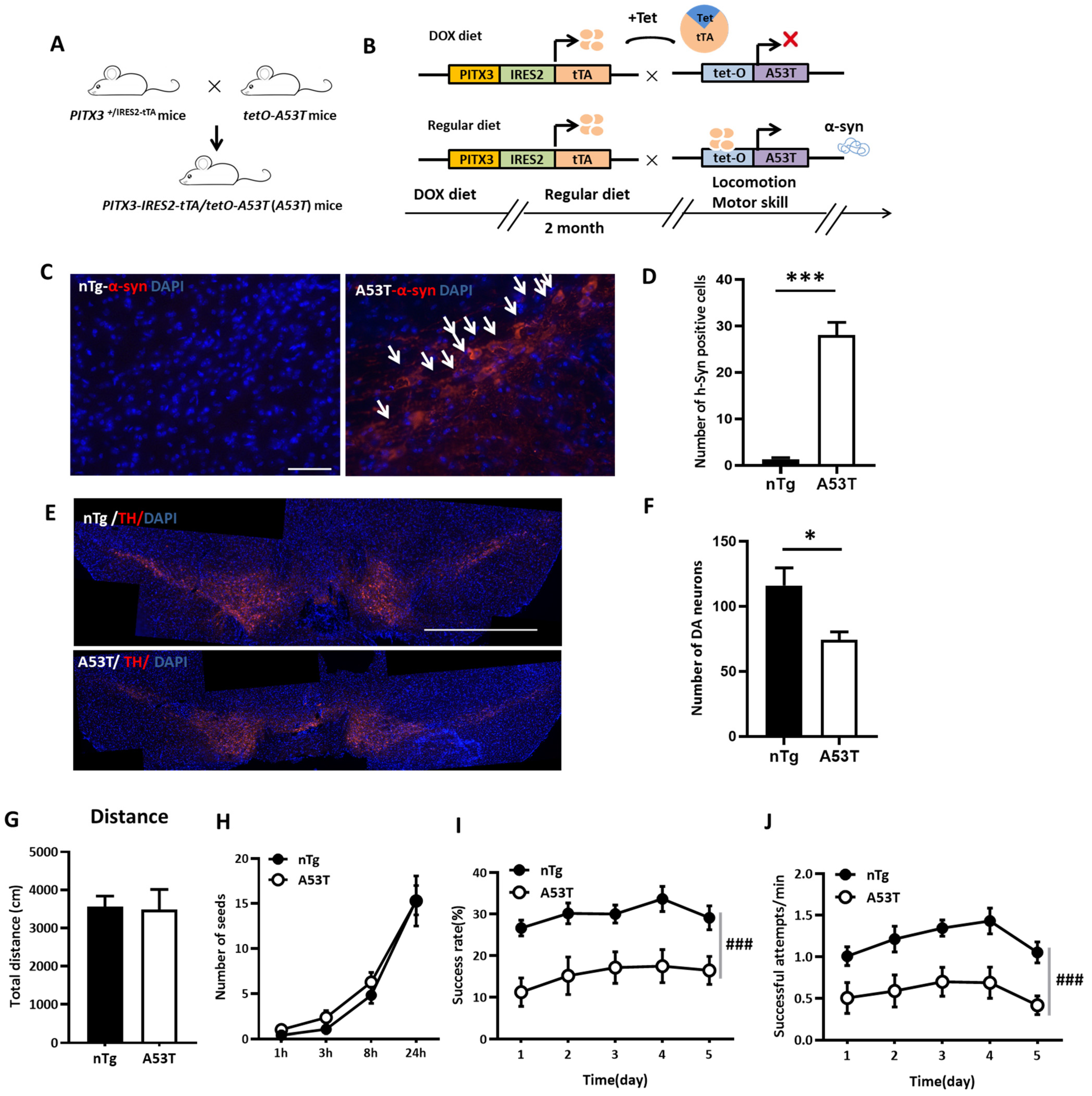 Ijms 24 01365 g003 Ijms 24 01365 g003