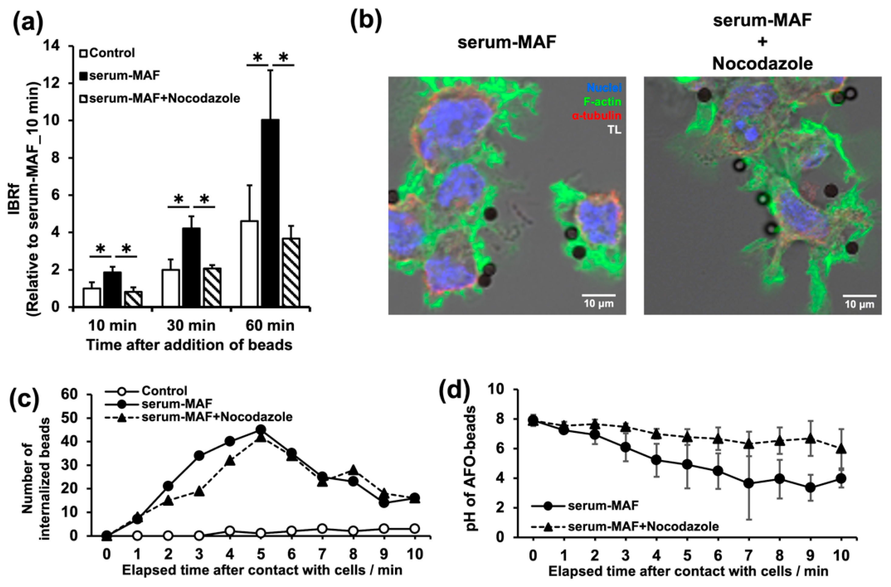 Ijms 24 01373 g005 Ijms 24 01373 g005