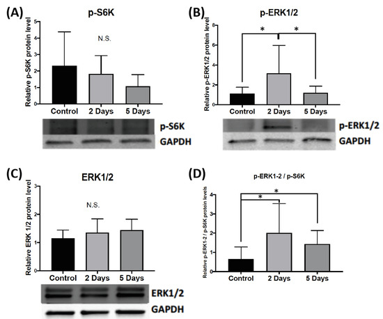 IJMS | Free Full-Text | Aggression Results in the Phosphorylation of ...