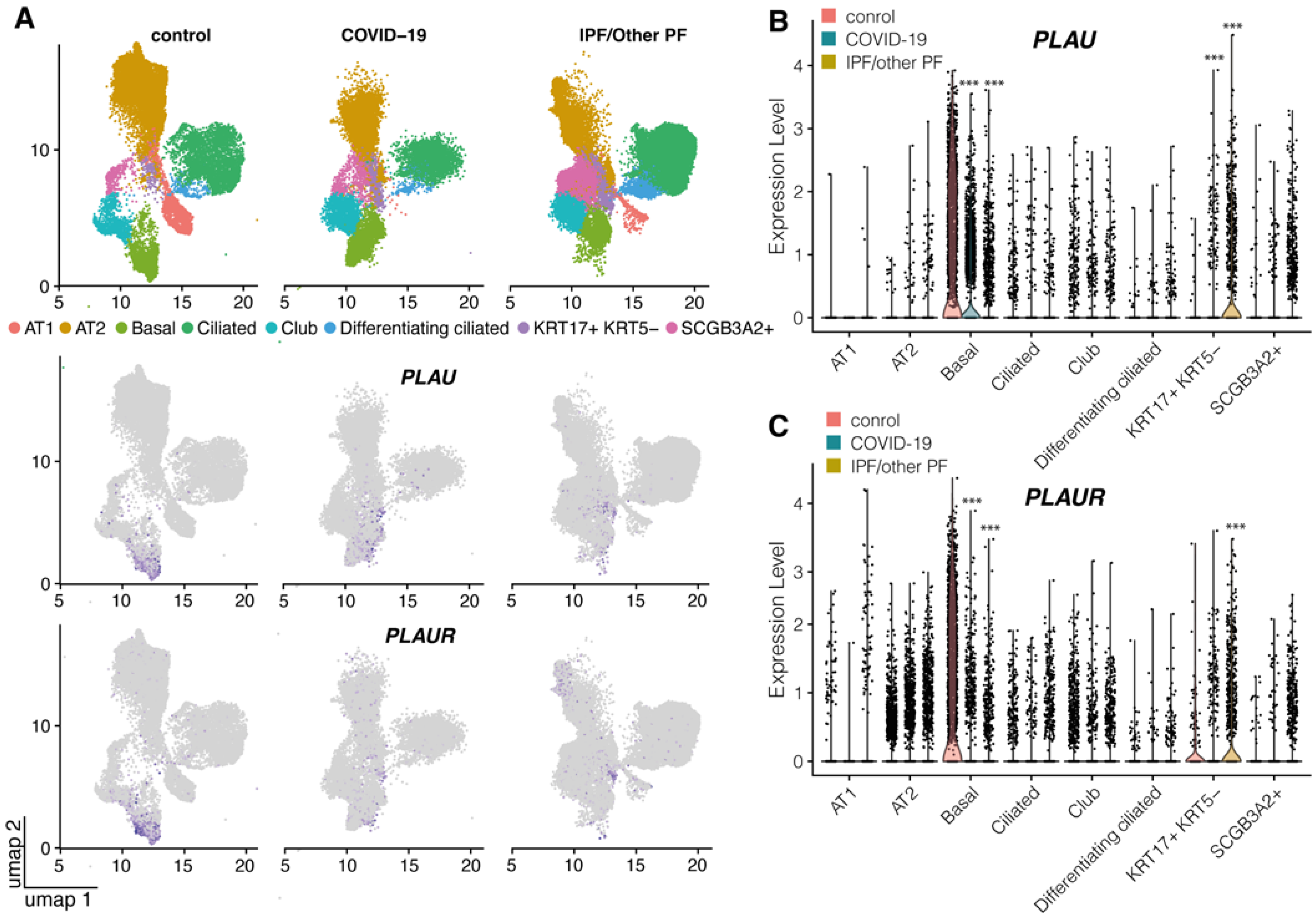 Ijms 24 01382 g001 Ijms 24 01382 g001