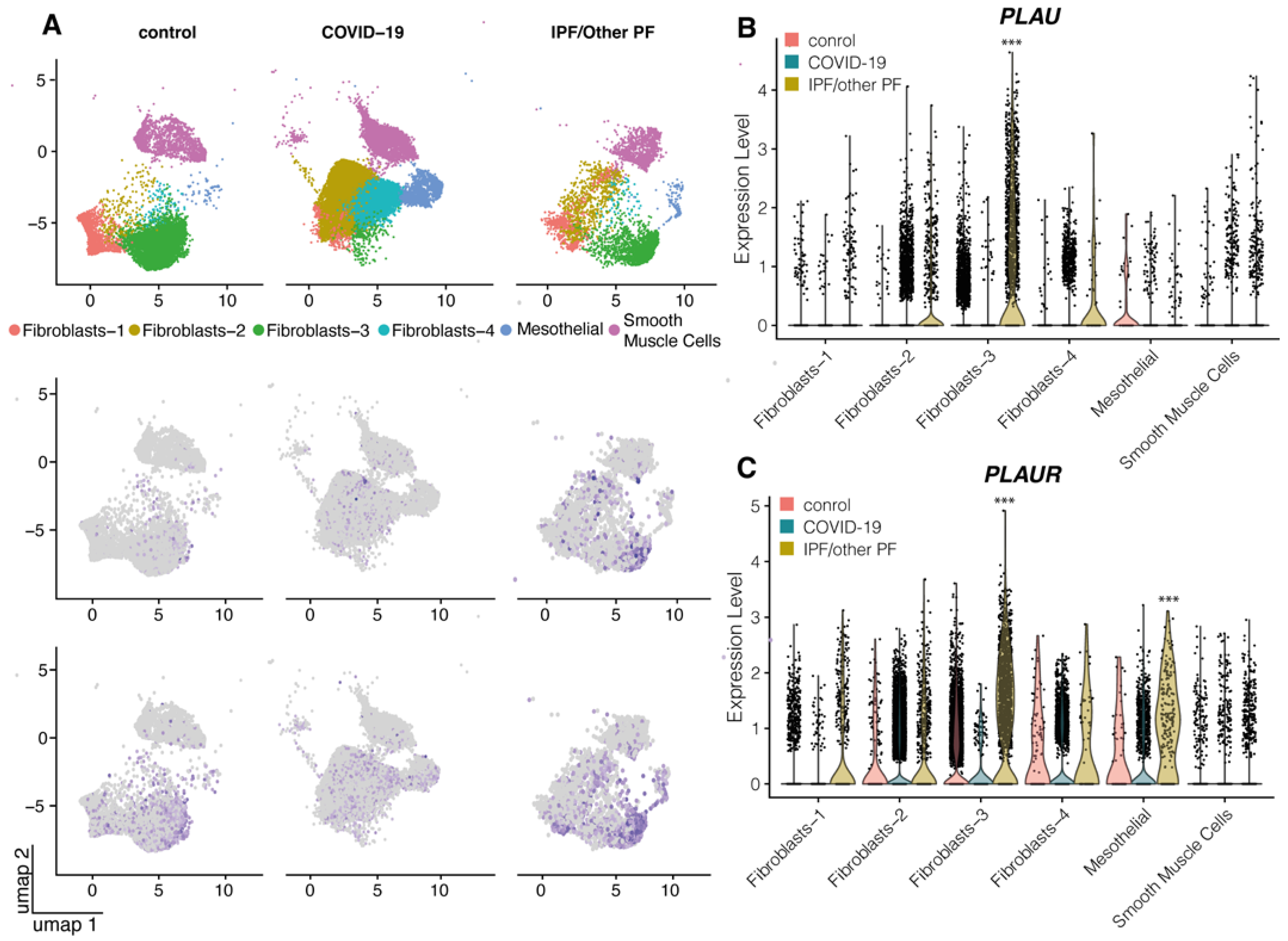 Ijms 24 01382 g002 Ijms 24 01382 g002