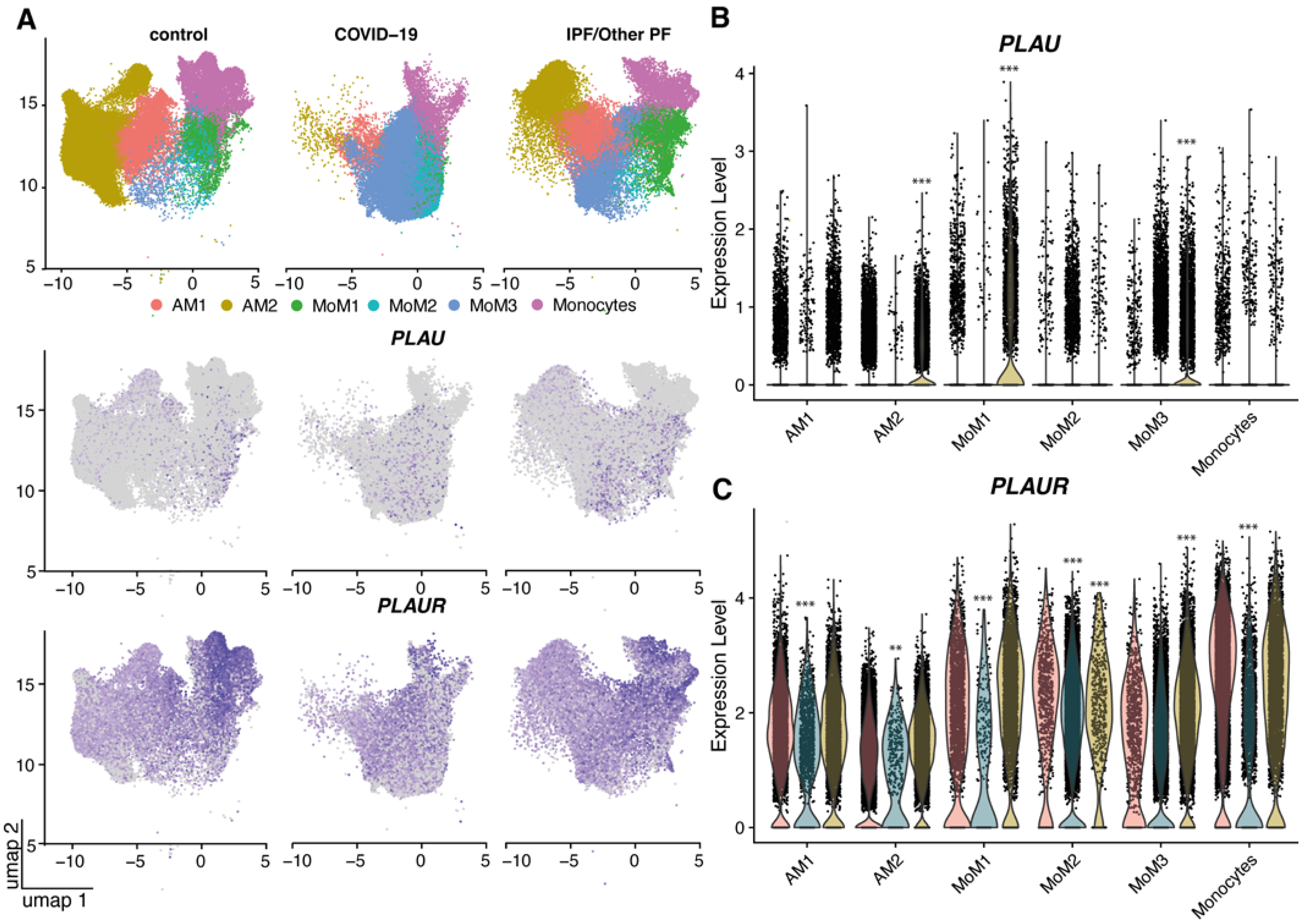 Ijms 24 01382 g003 Ijms 24 01382 g003