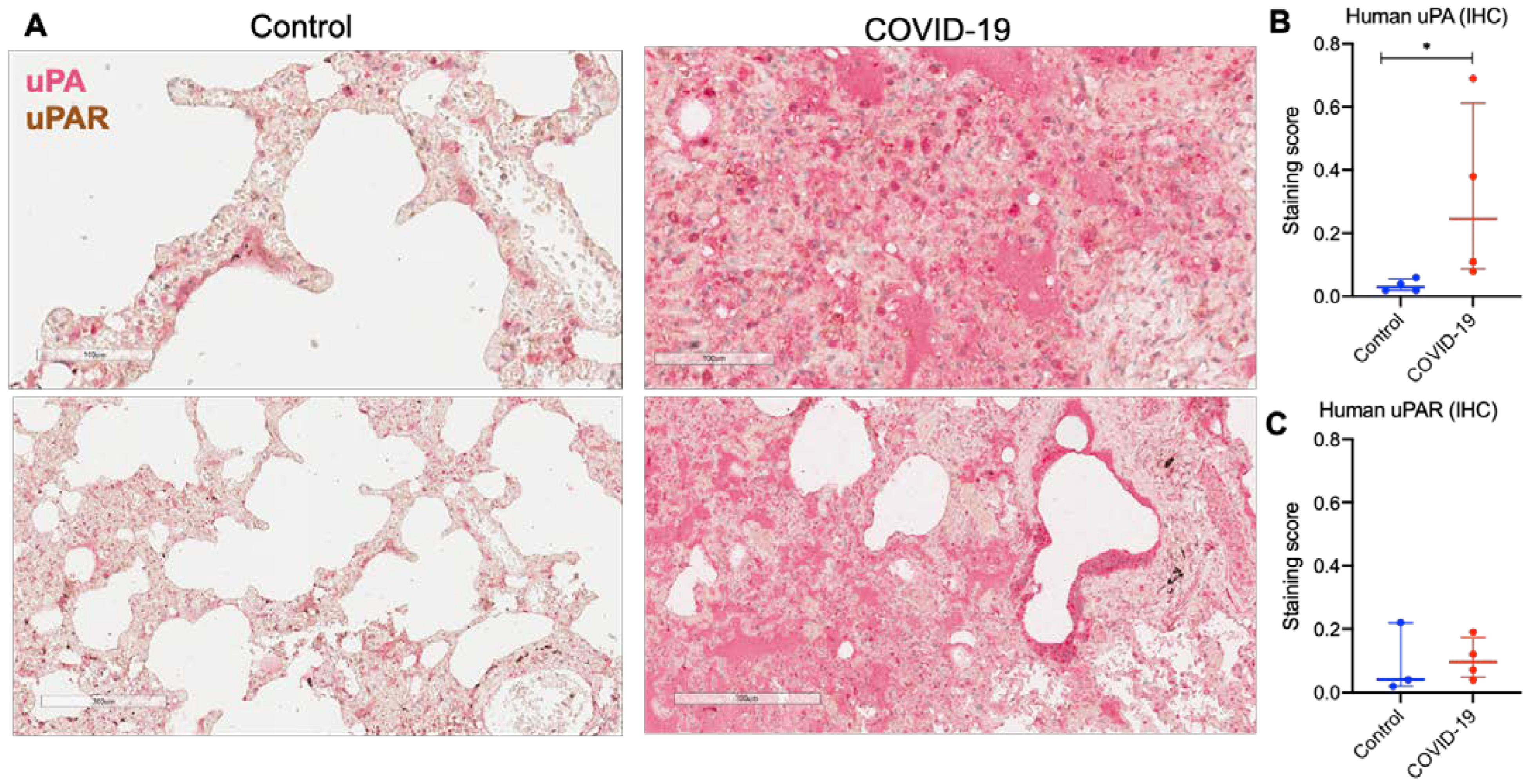 Ijms 24 01382 g004 Ijms 24 01382 g004