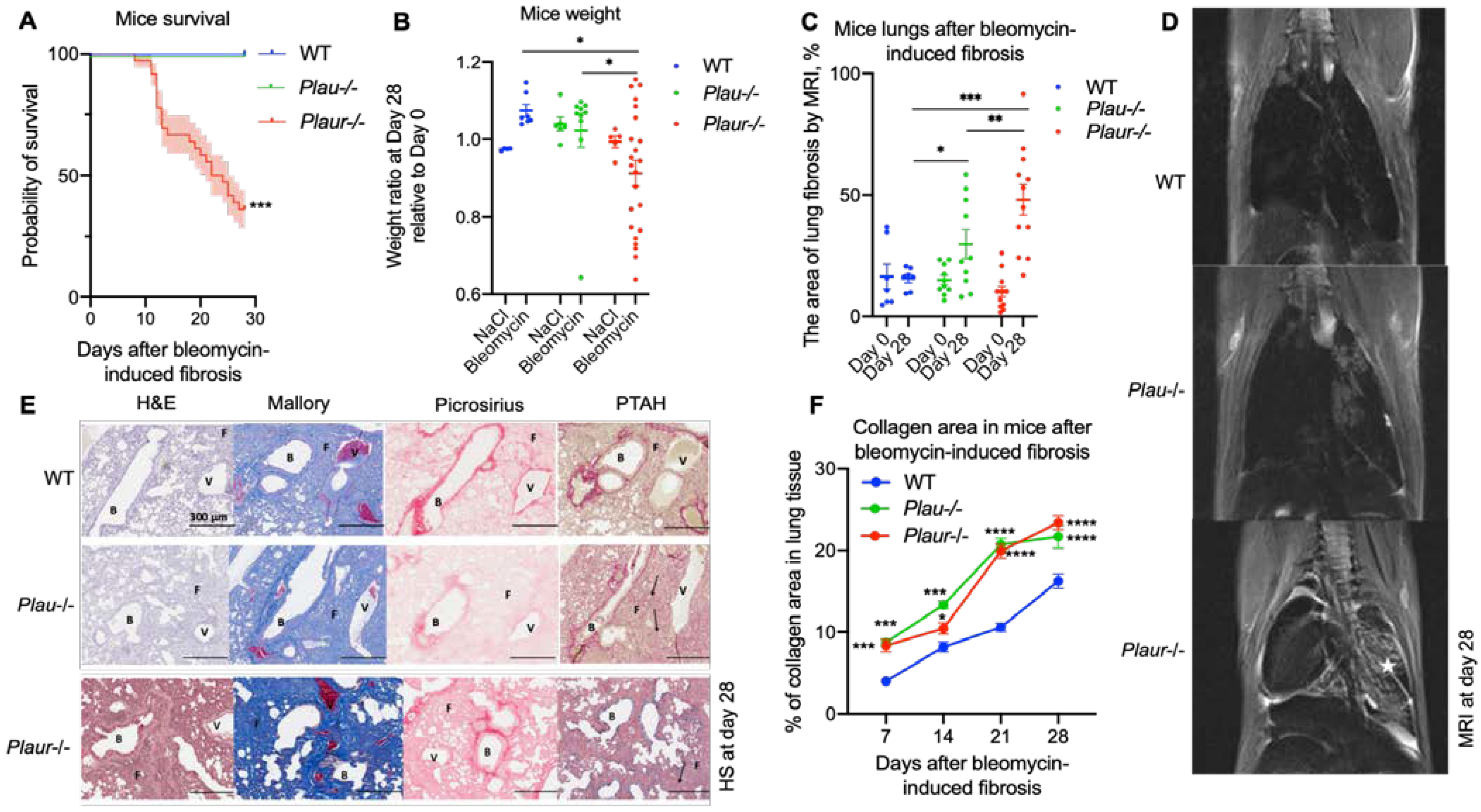 Ijms 24 01382 g005 Ijms 24 01382 g005