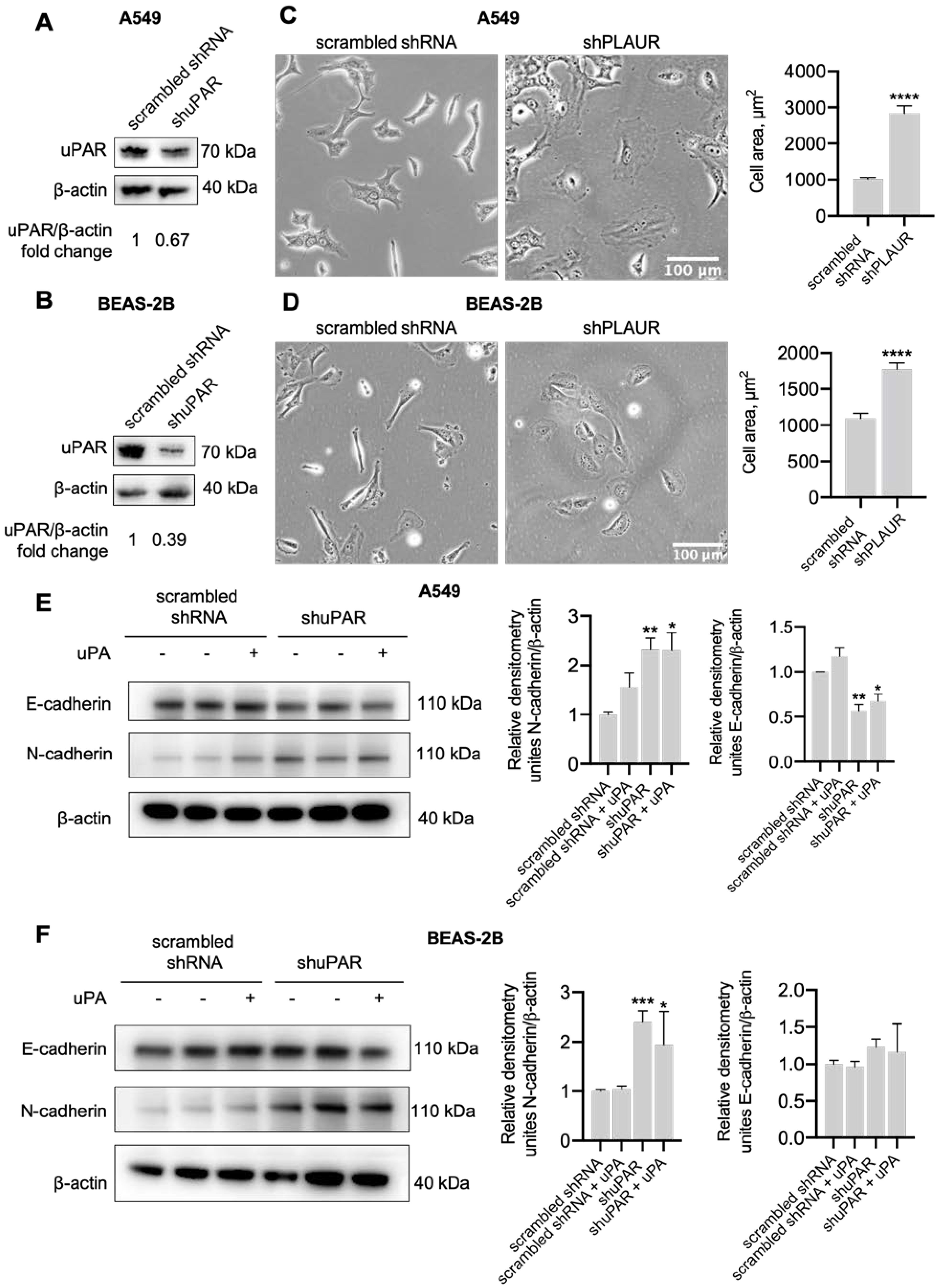 Ijms 24 01382 g008 Ijms 24 01382 g008