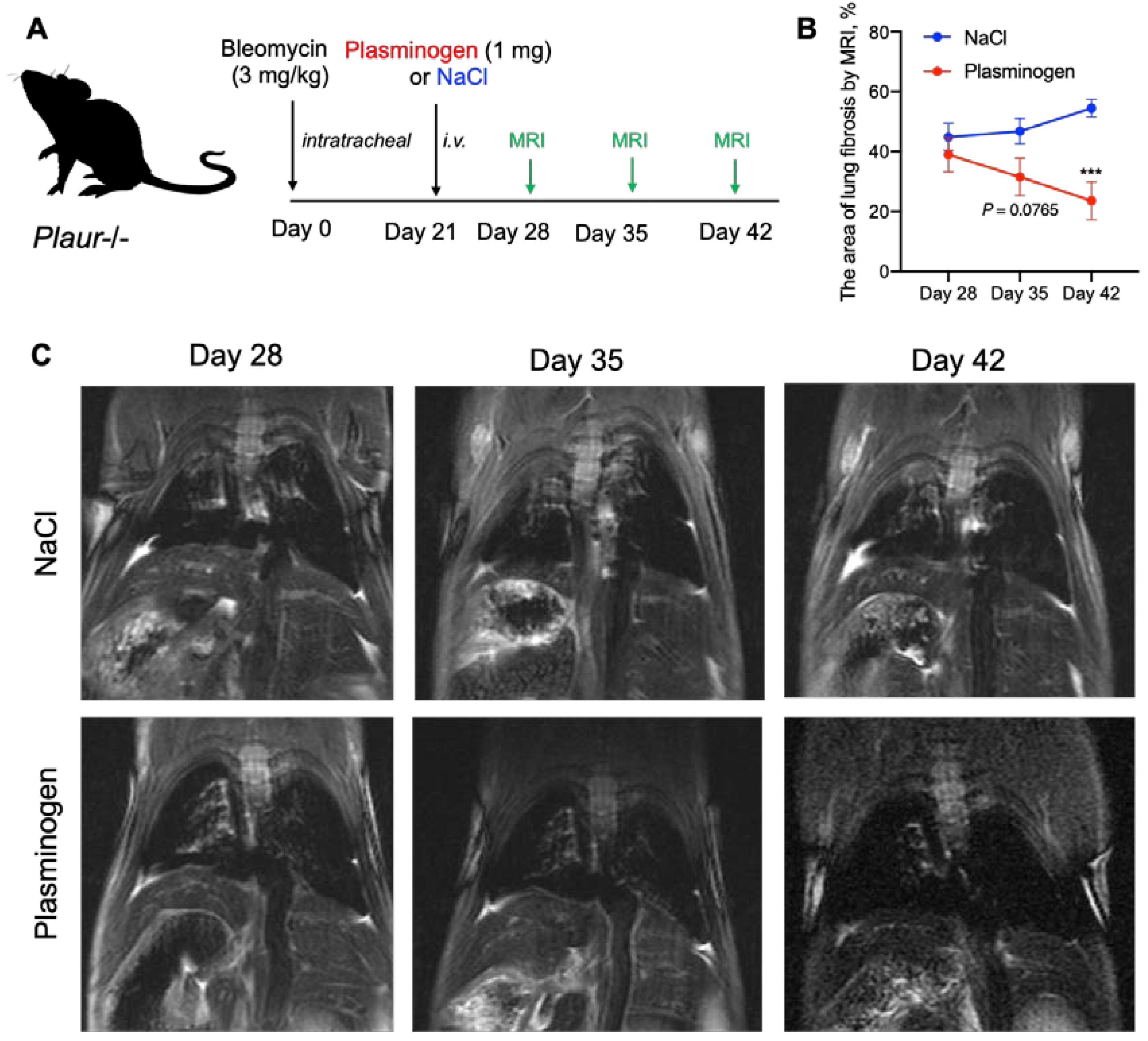 Ijms 24 01382 g009 Ijms 24 01382 g009