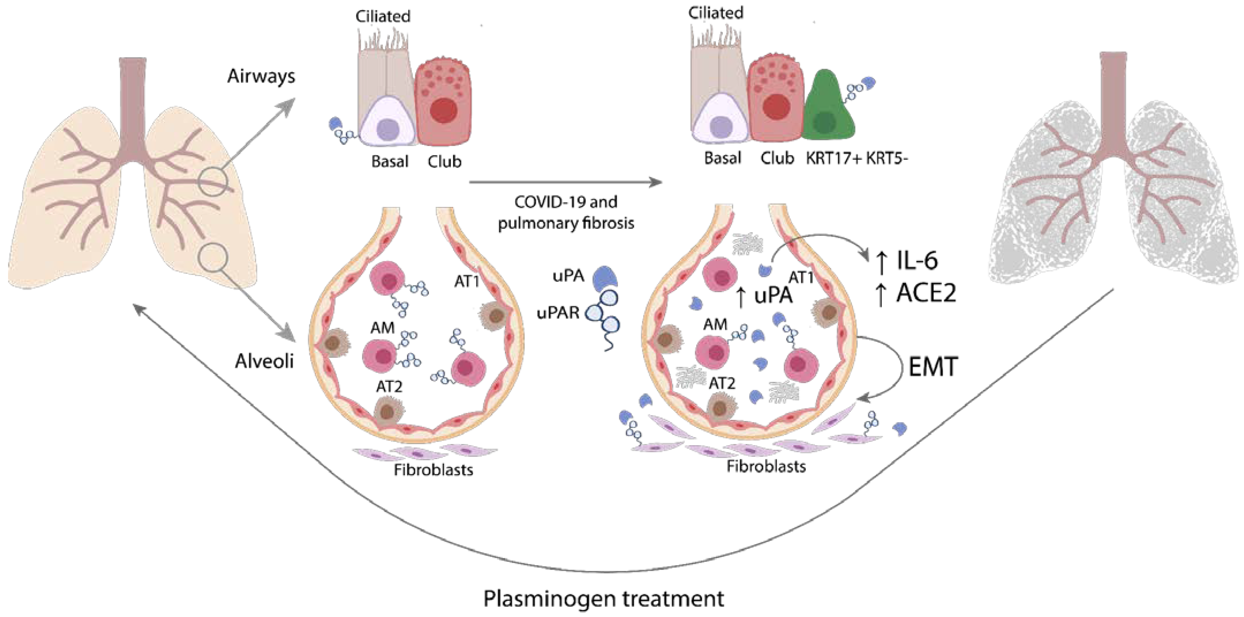 Ijms 24 01382 g010 Ijms 24 01382 g010