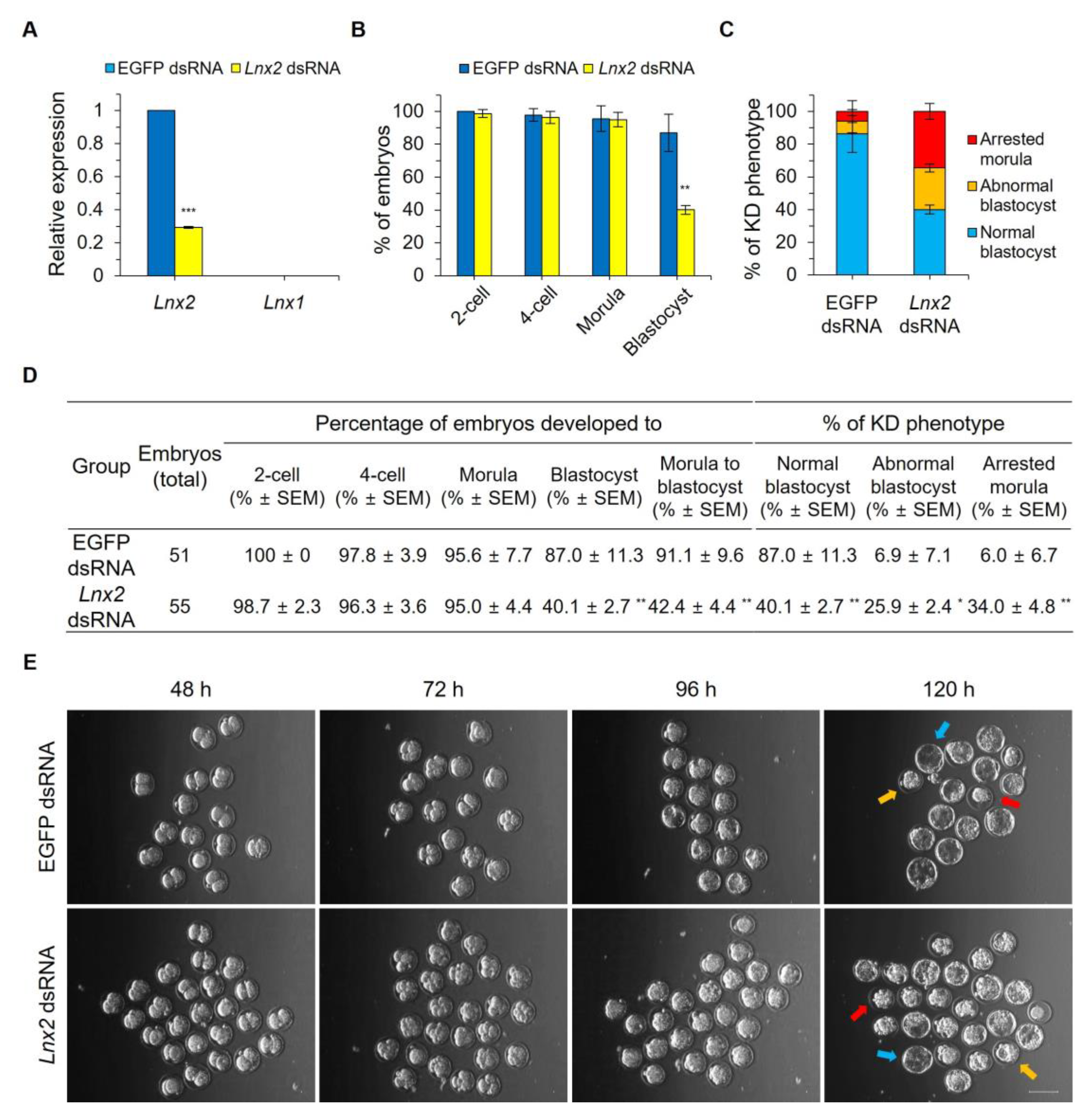 Ijms 24 01385 g002 Ijms 24 01385 g002