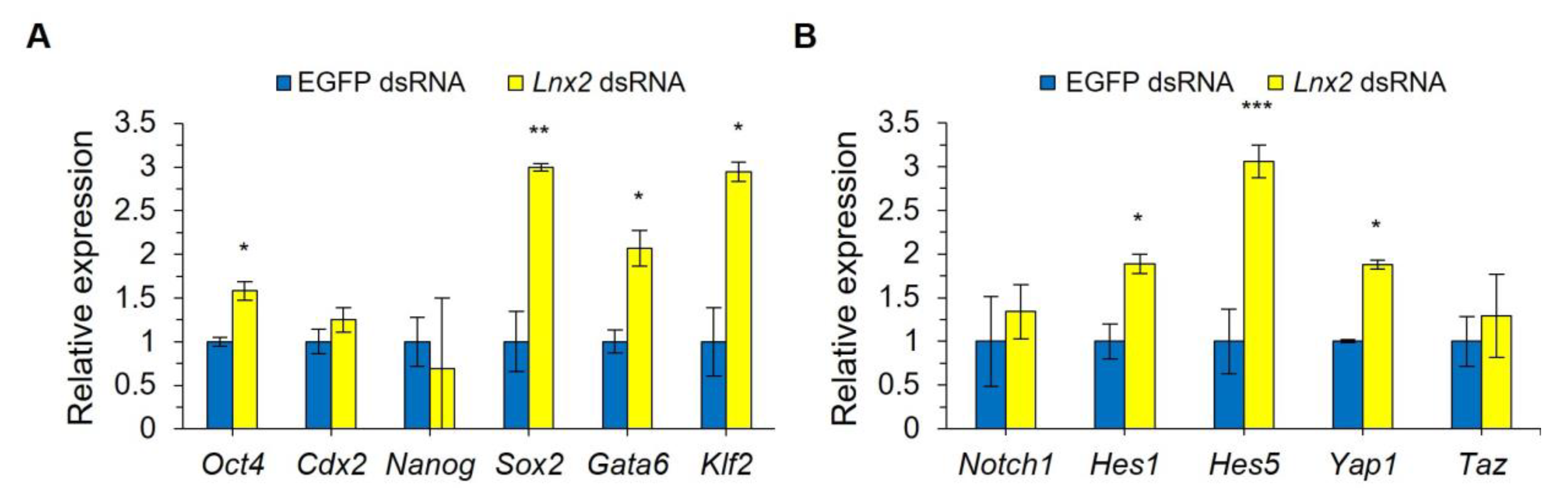 Ijms 24 01385 g004 Ijms 24 01385 g004