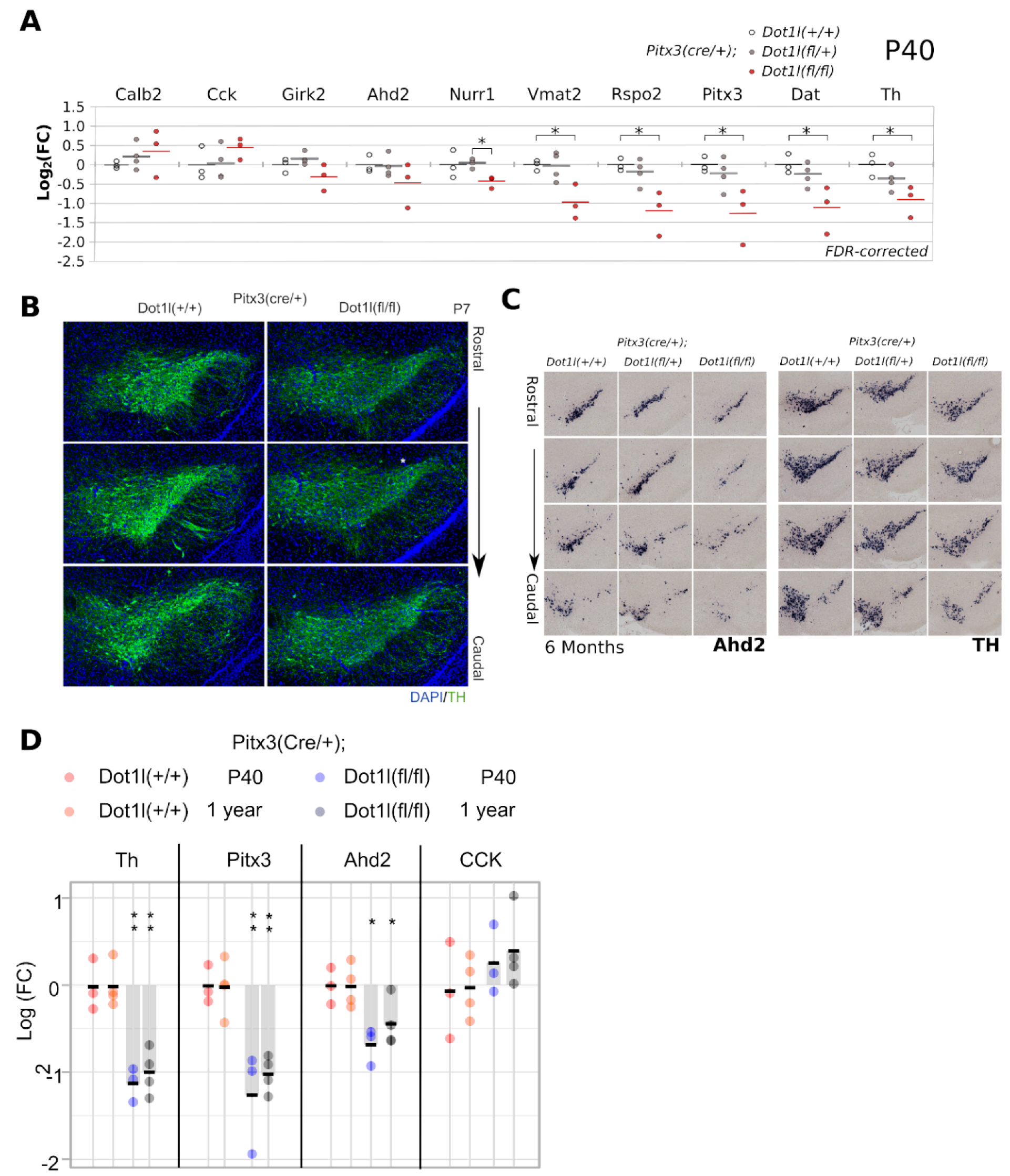 Ijms 24 01387 g003 Ijms 24 01387 g003
