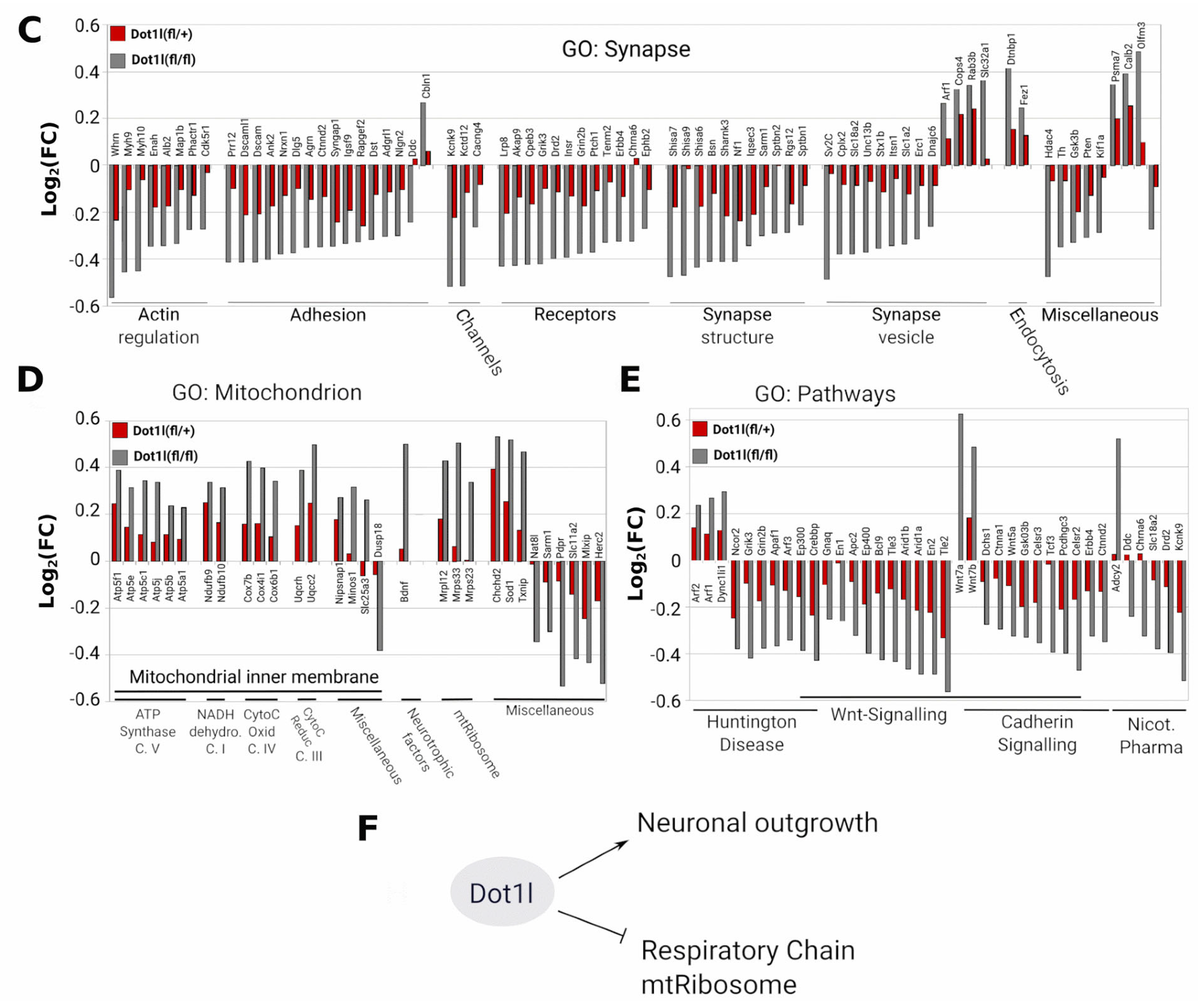 Ijms 24 01387 g004b Ijms 24 01387 g004b