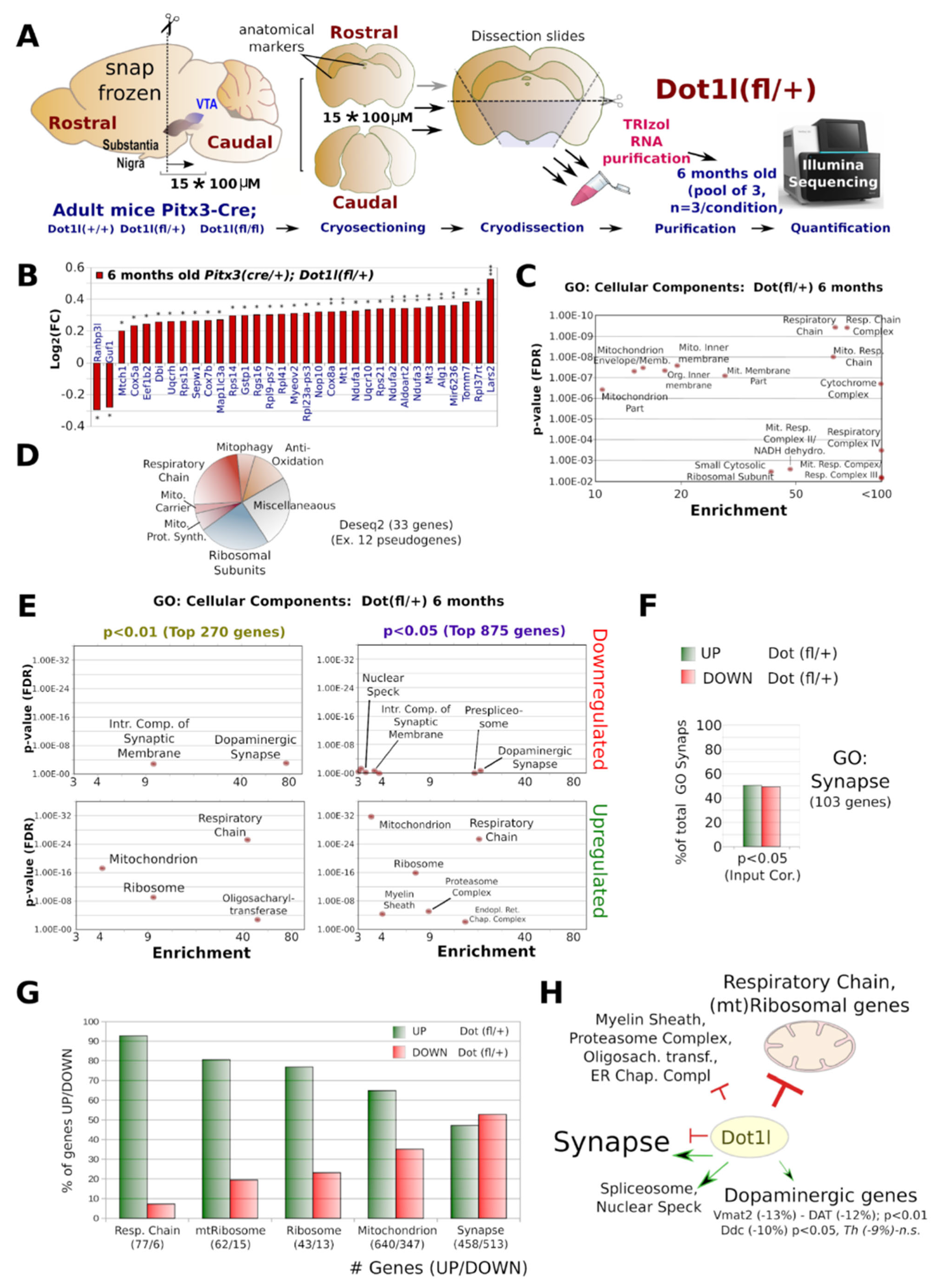 Ijms 24 01387 g005 Ijms 24 01387 g005