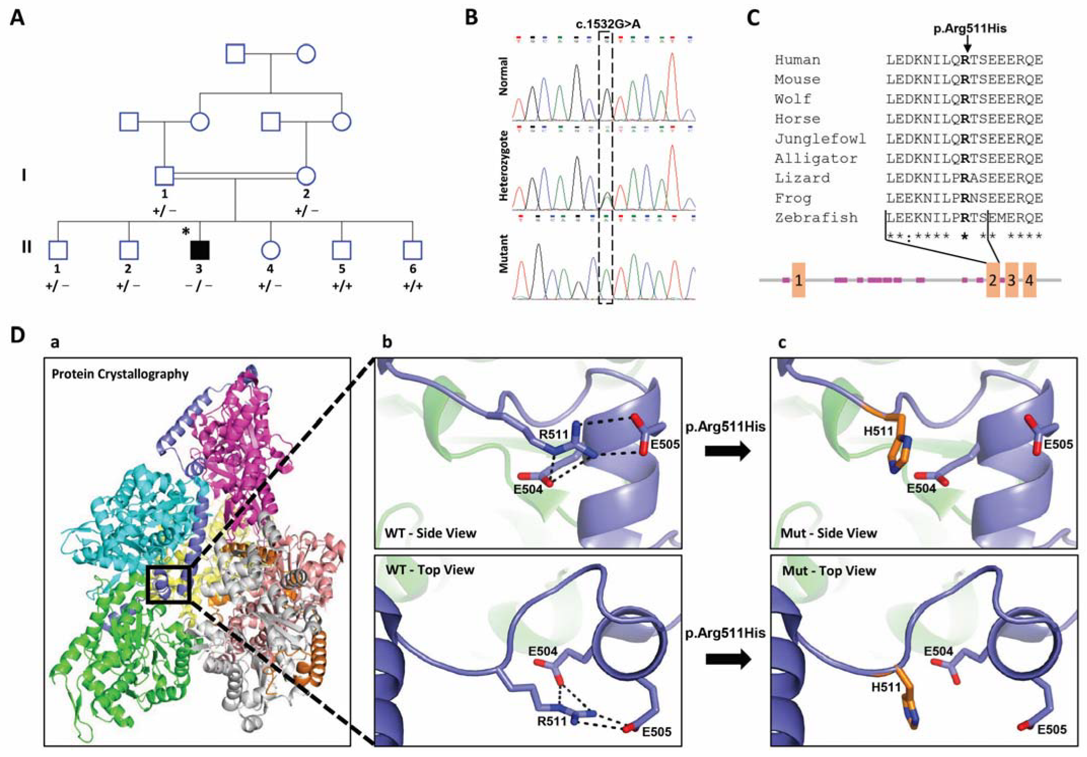 Ijms 24 01388 g001 Ijms 24 01388 g001