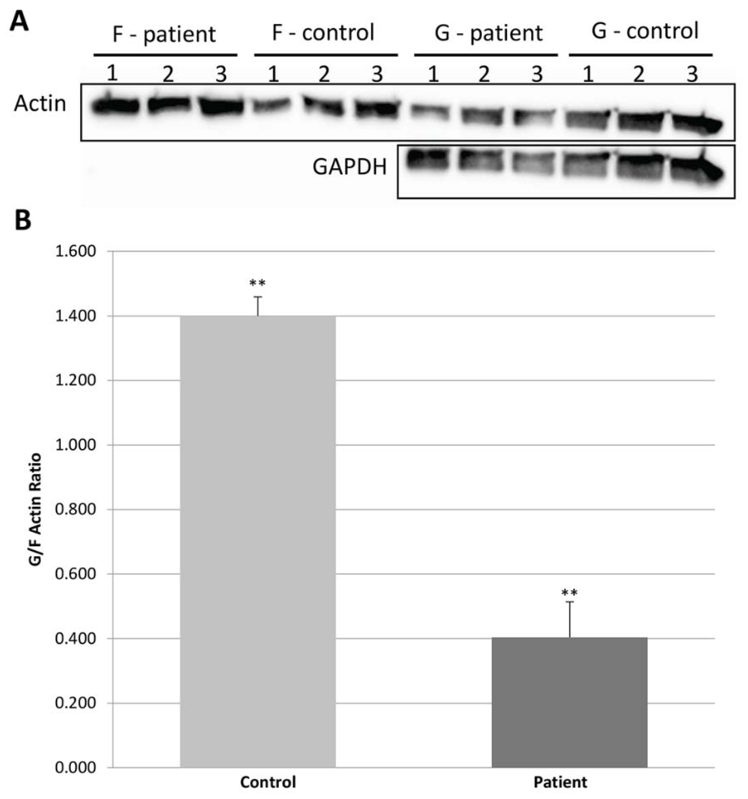 Ijms 24 01388 g003 Ijms 24 01388 g003