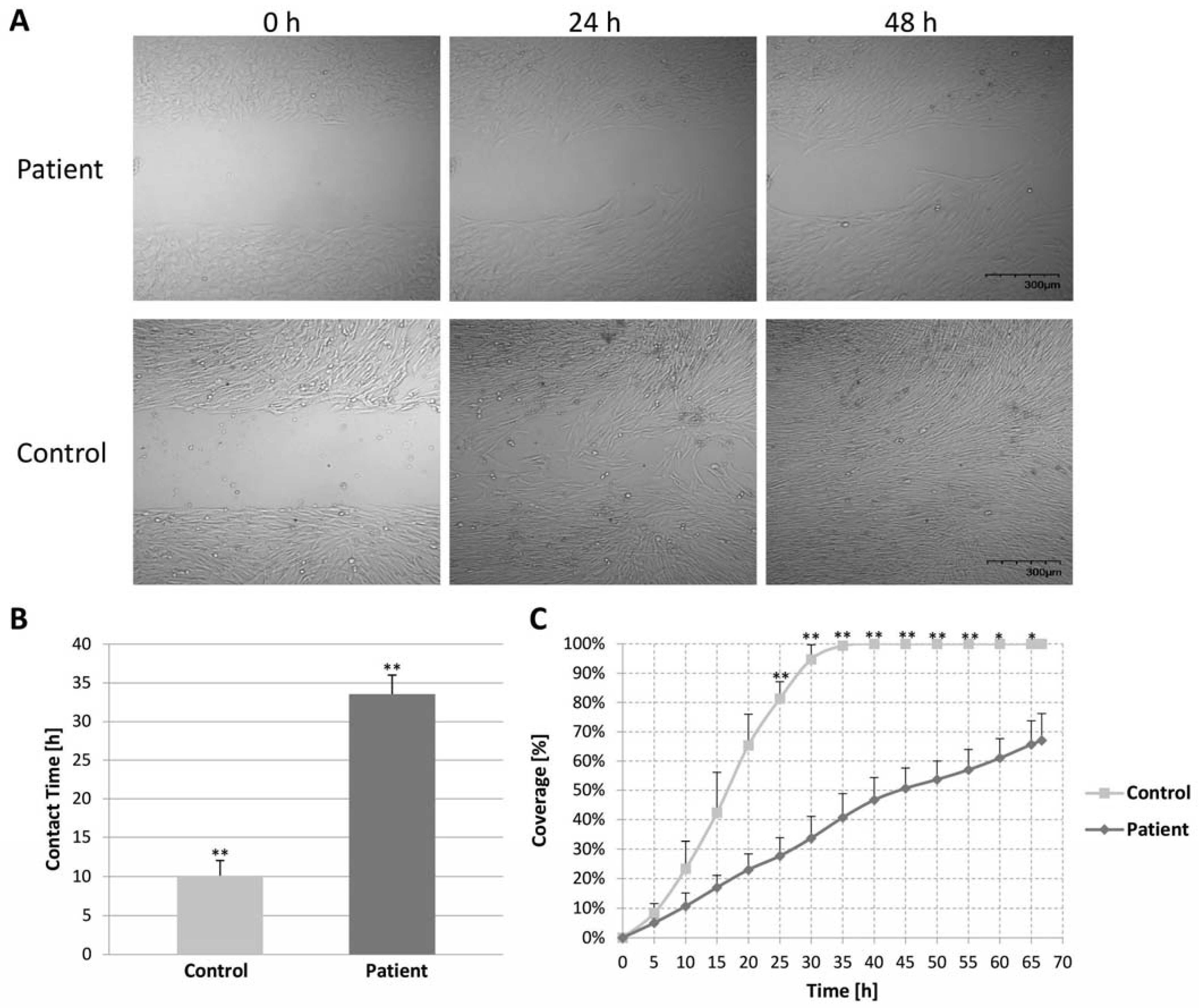 Ijms 24 01388 g005 Ijms 24 01388 g005