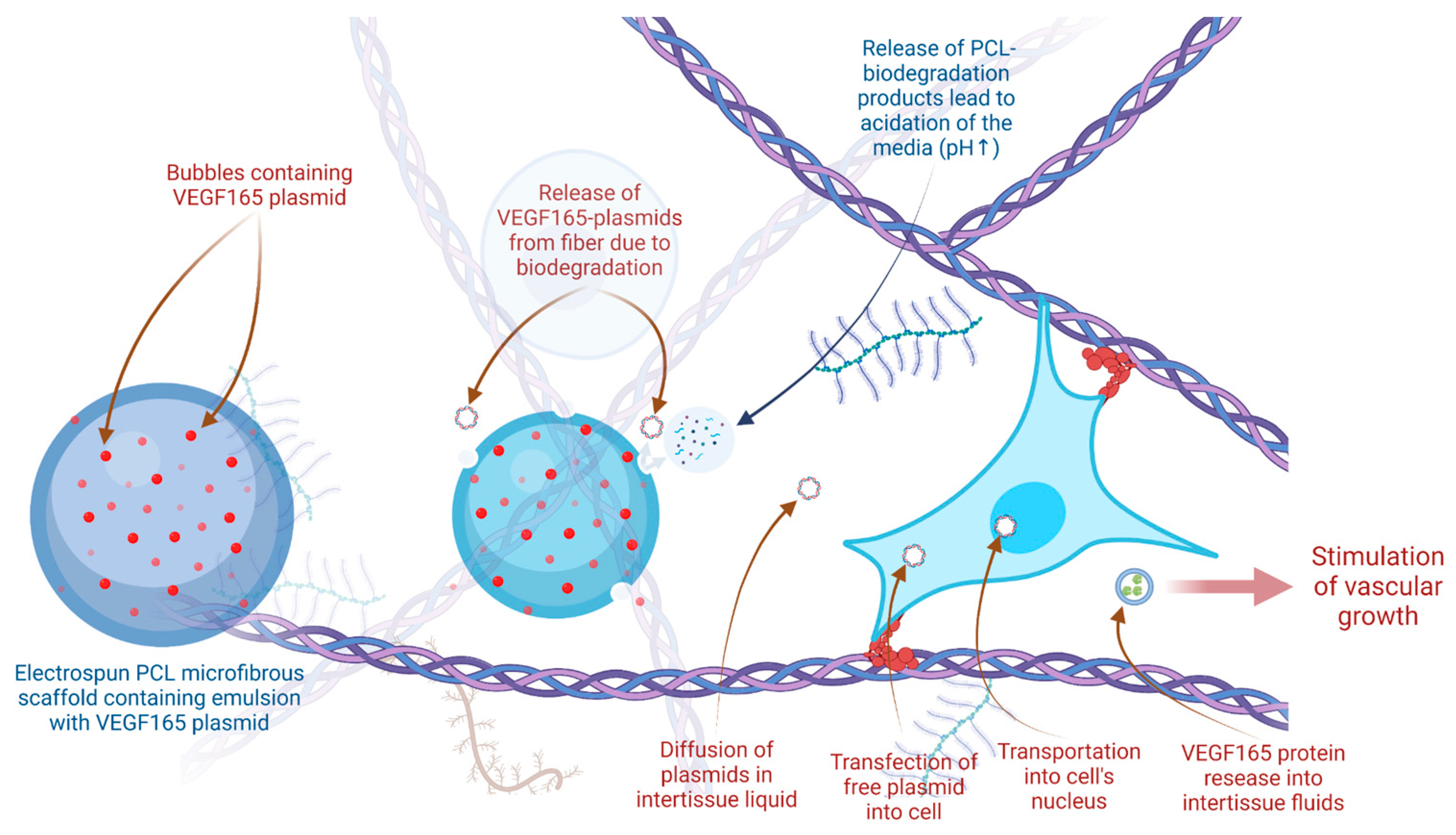 Ijms 24 01399 g004 Ijms 24 01399 g004