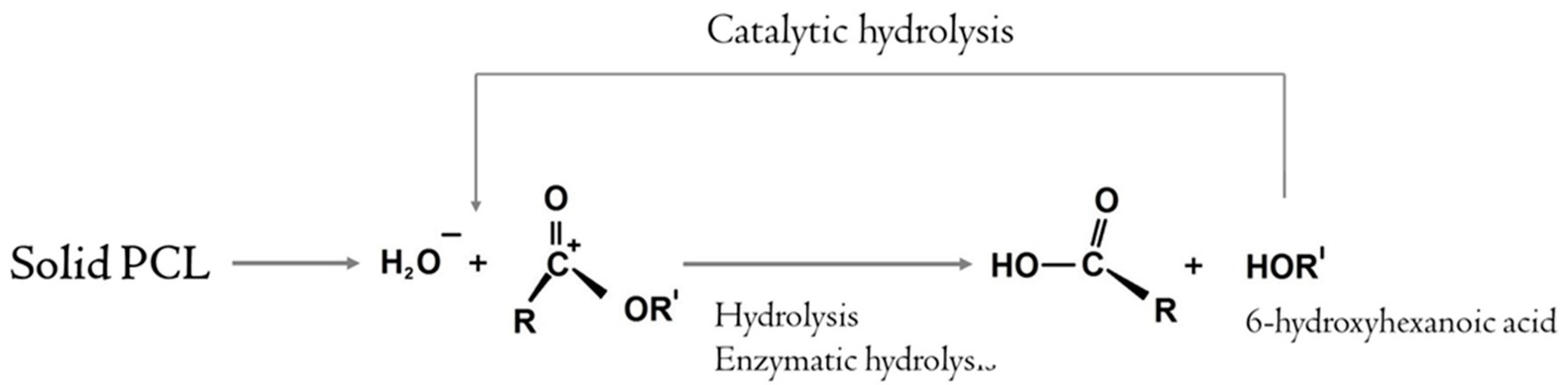 Ijms 24 01399 g005 Ijms 24 01399 g005