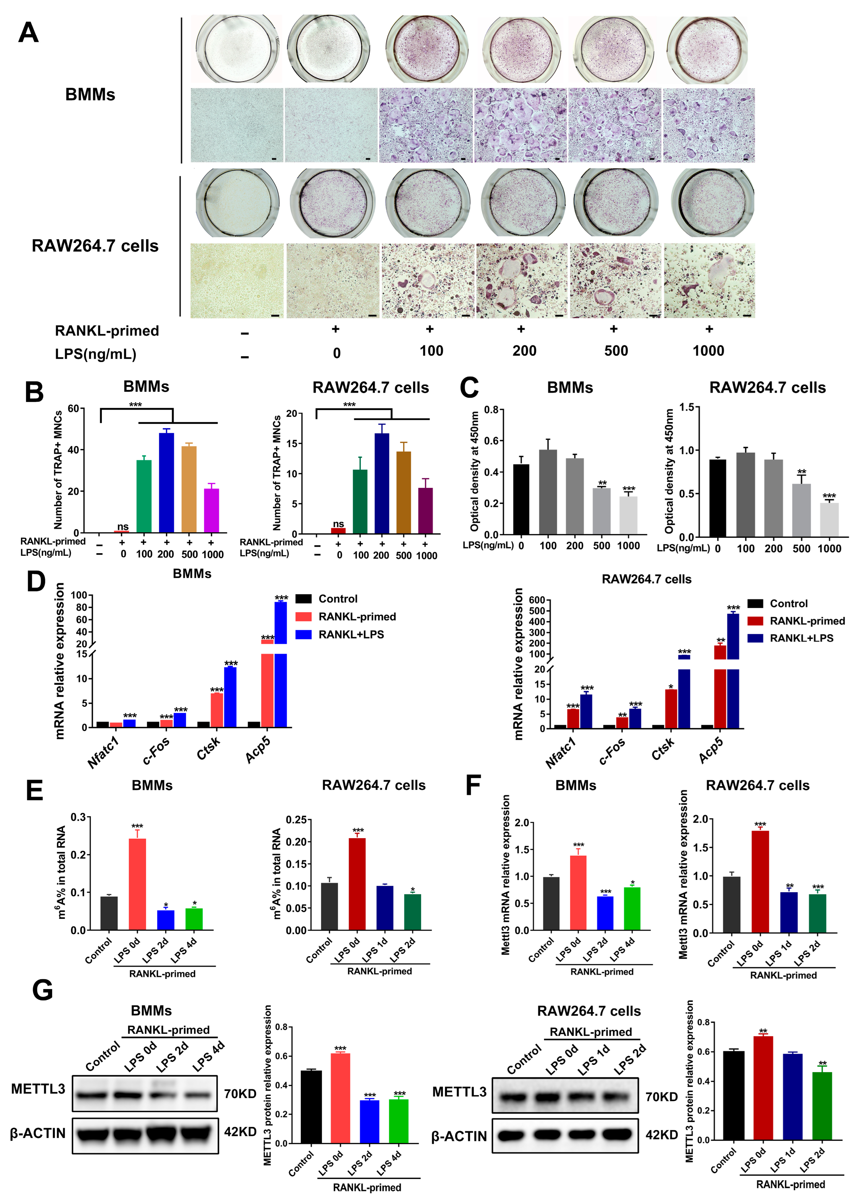 Ijms 24 01403 g001 Ijms 24 01403 g001