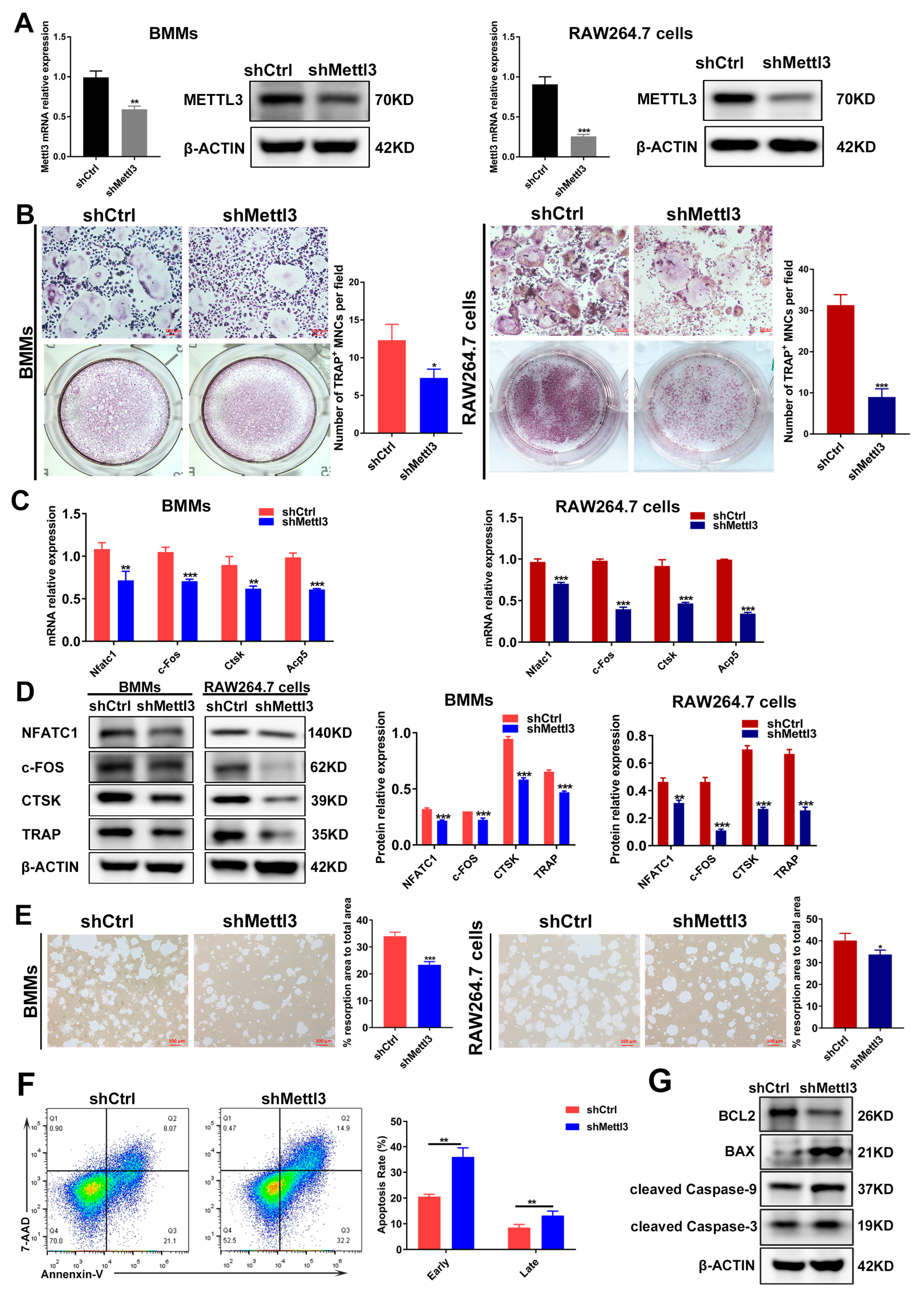 Ijms 24 01403 g002 Ijms 24 01403 g002