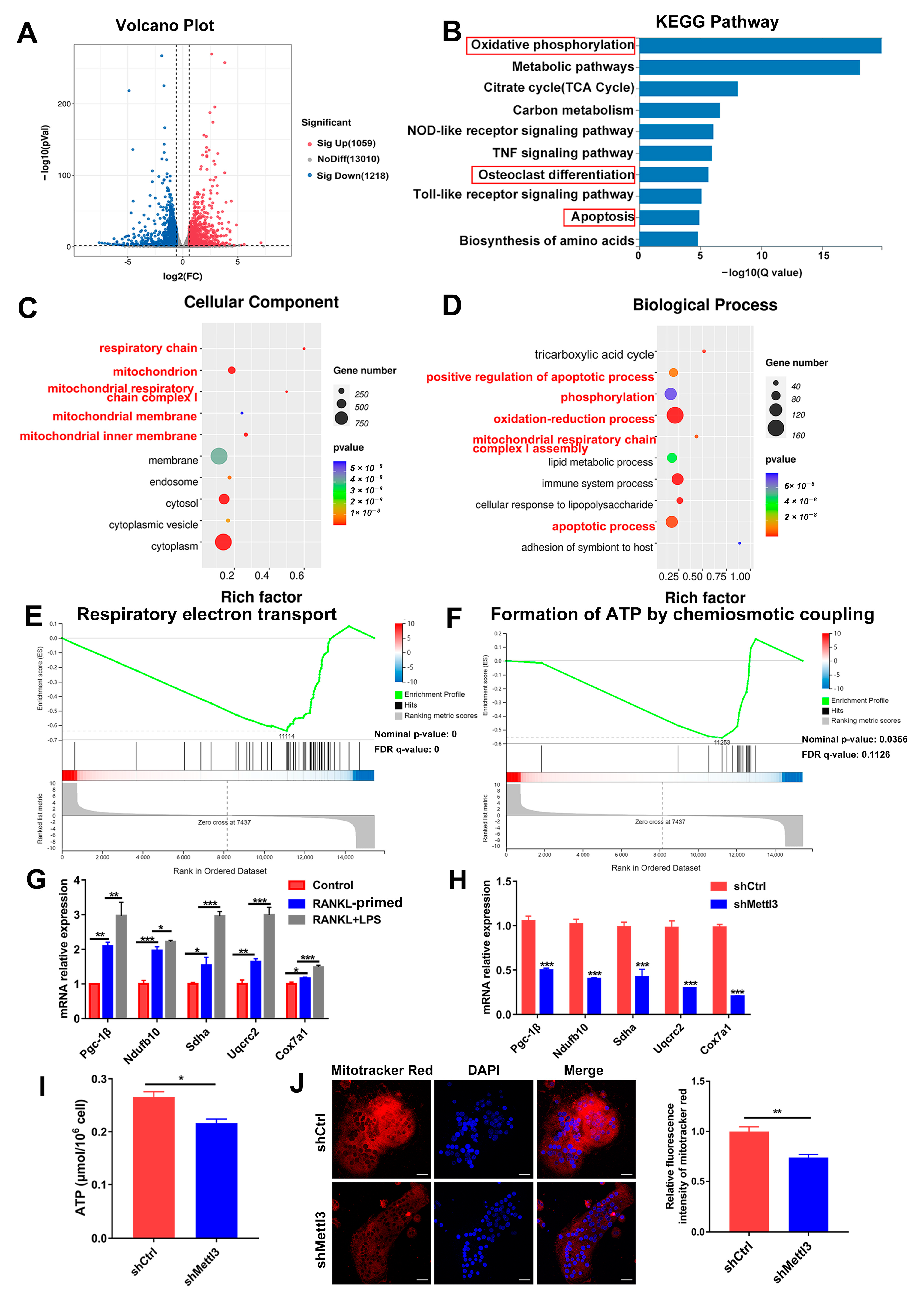 Ijms 24 01403 g003 Ijms 24 01403 g003