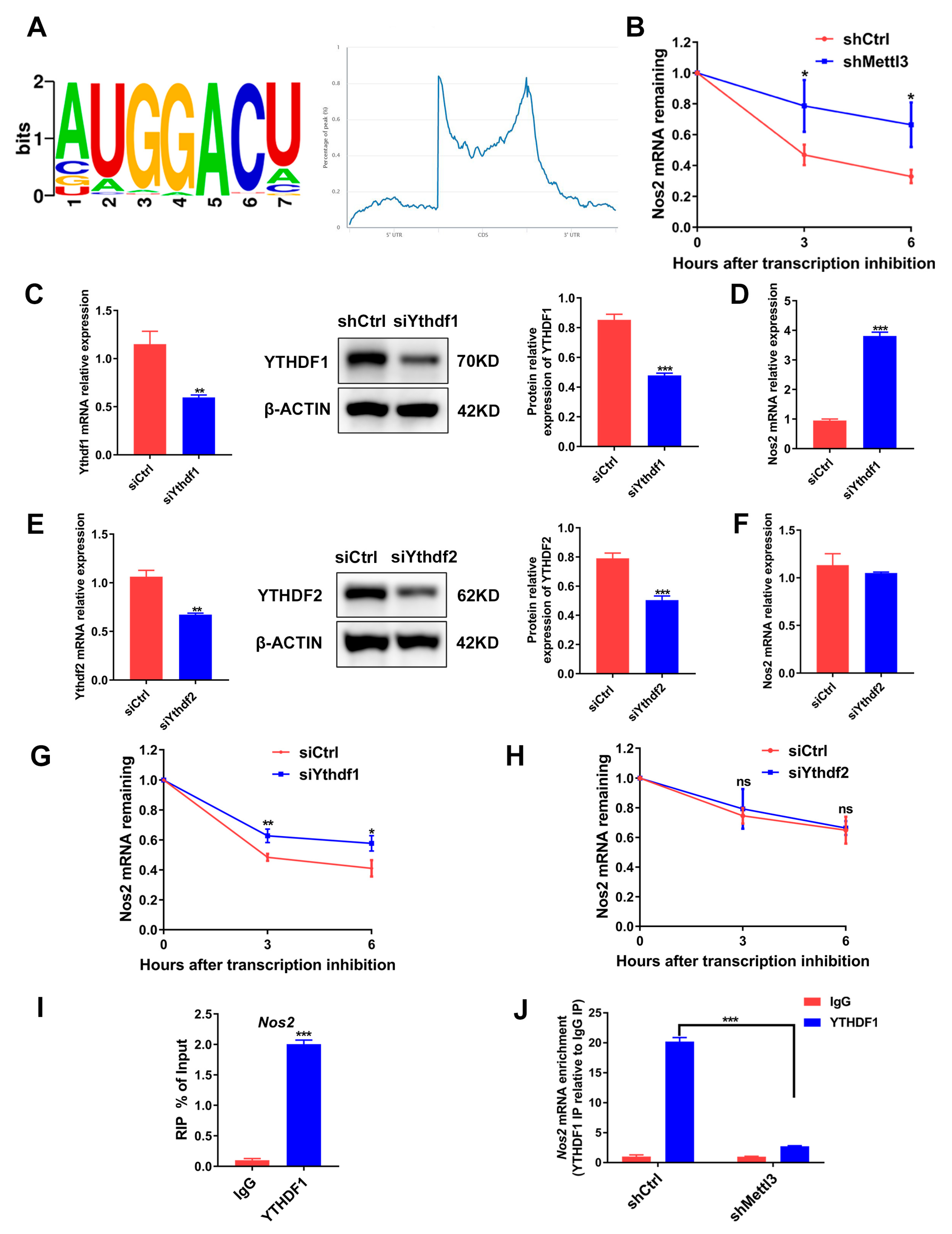 Ijms 24 01403 g006 Ijms 24 01403 g006