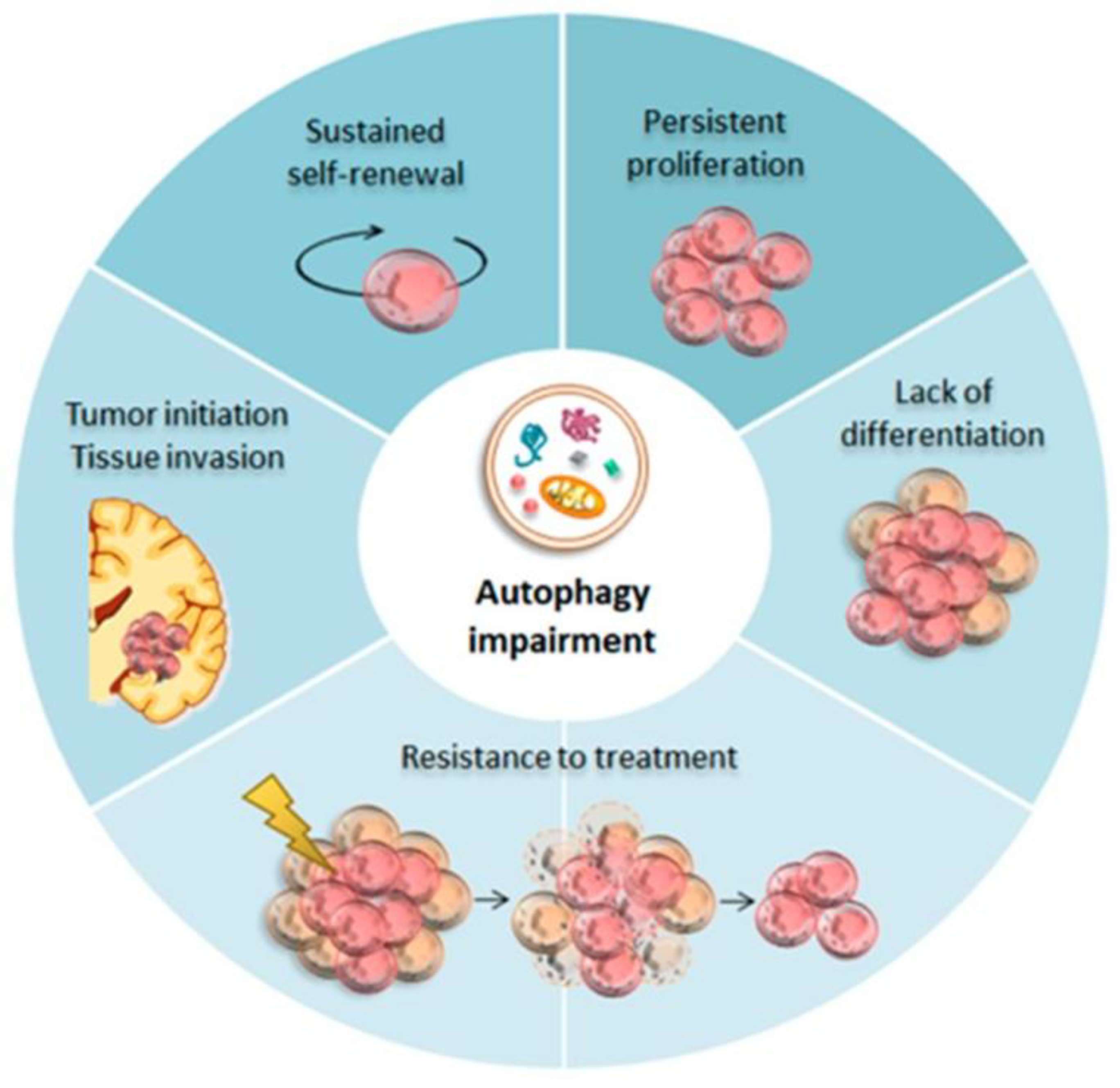 Ijms 24 01405 g001 Ijms 24 01405 g001